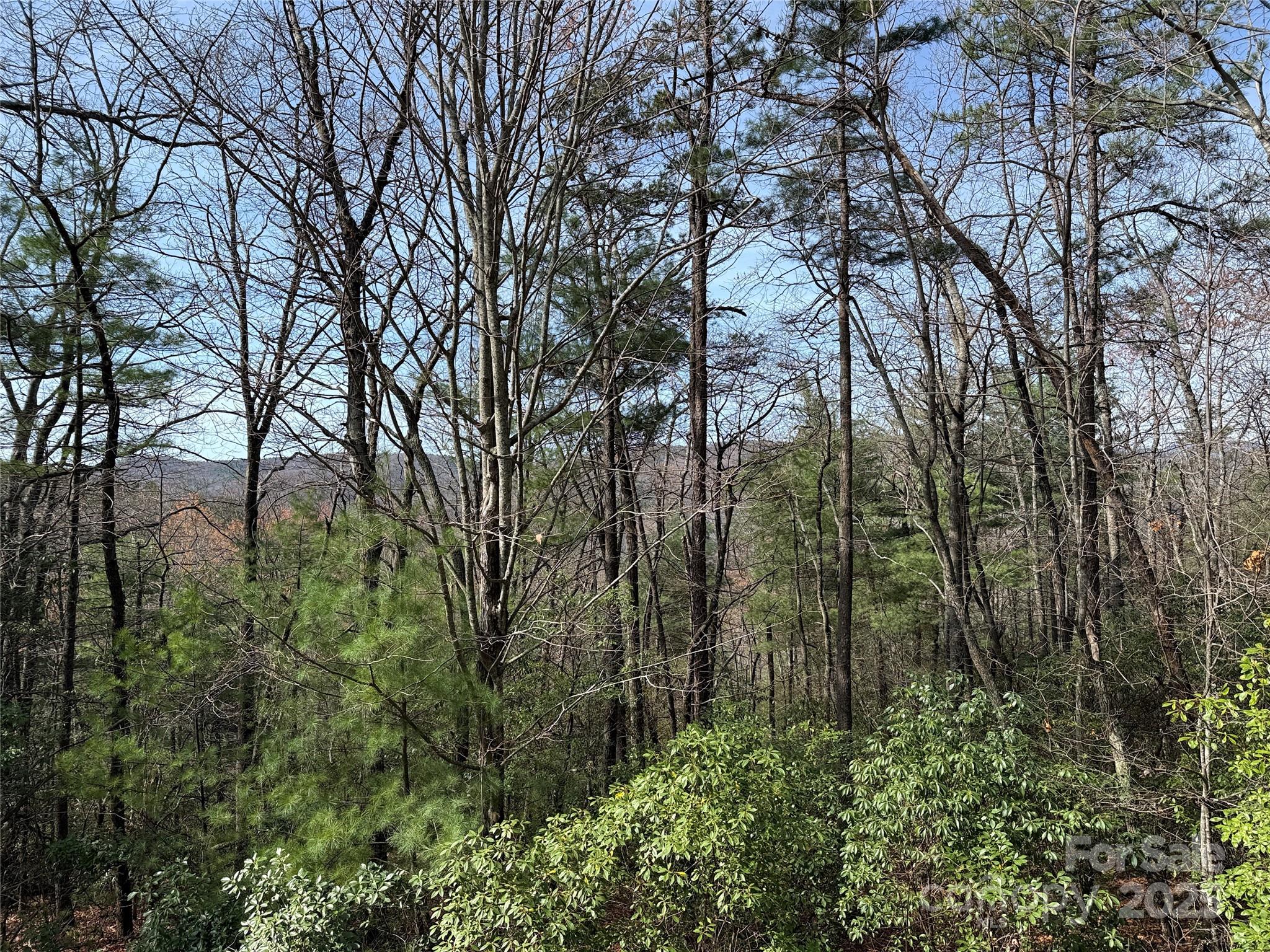 Tbd Casey Mountain Road 213 Property Photo 1