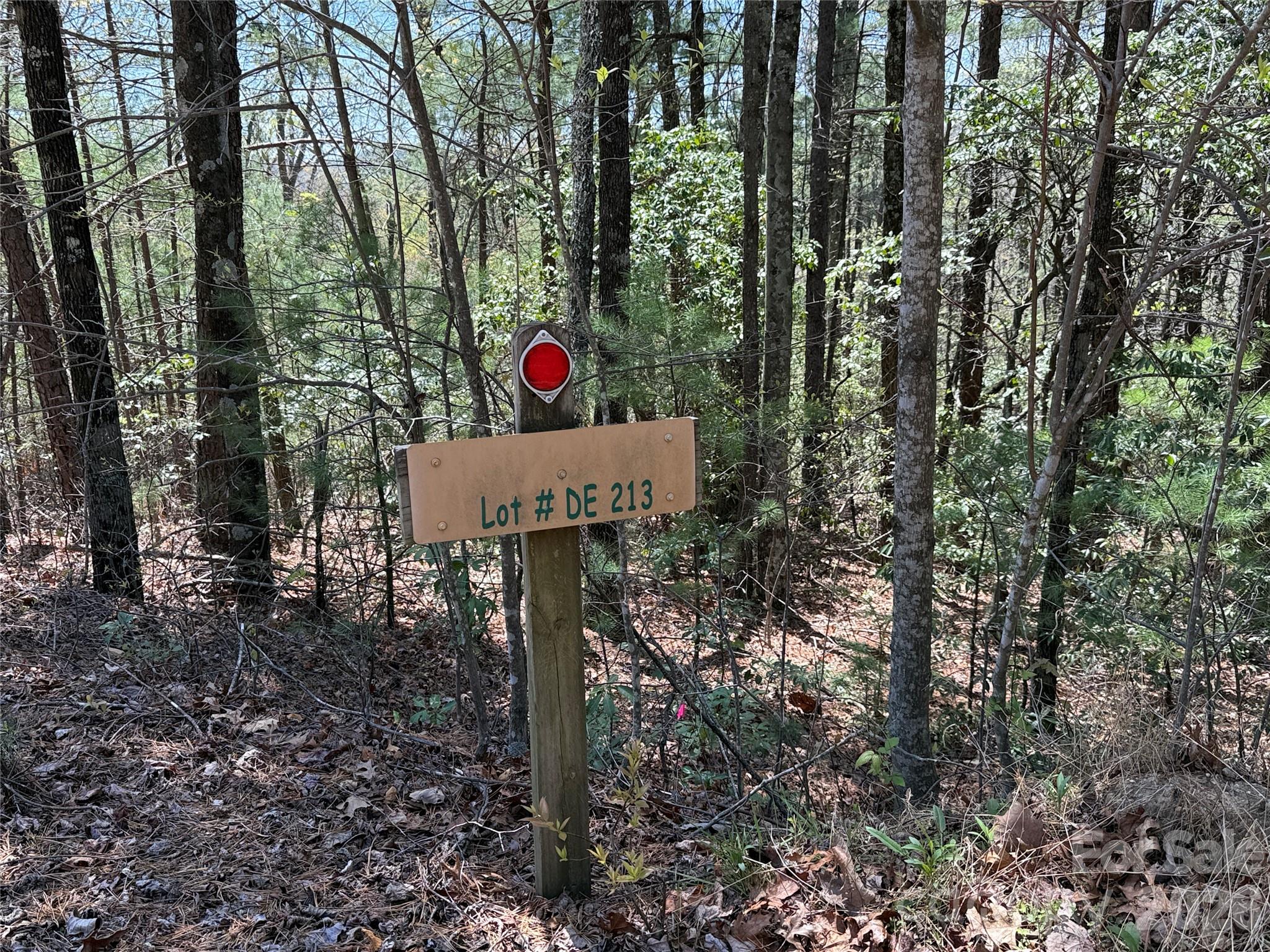 Tbd Casey Mountain Road 213 Property Photo 4