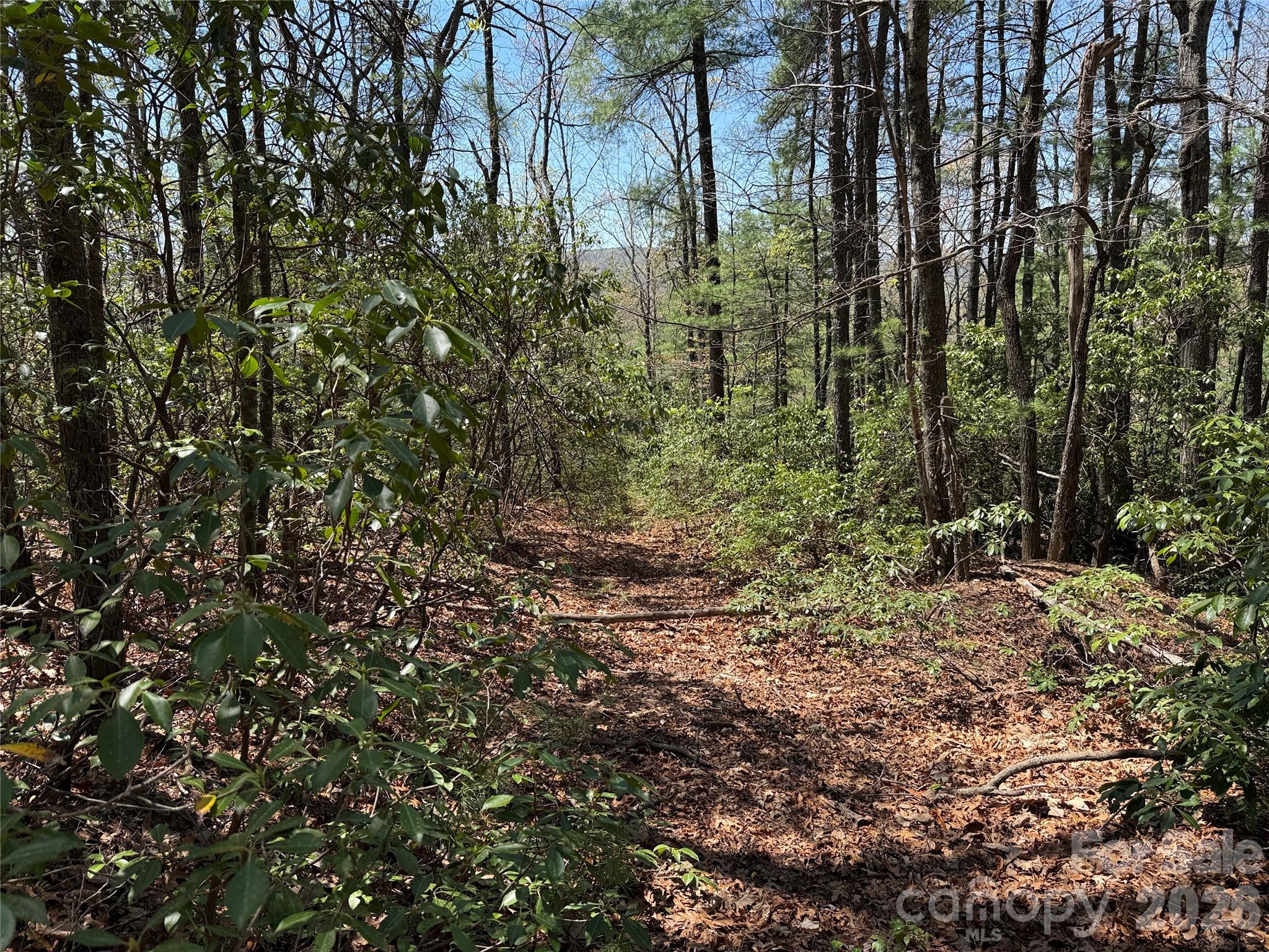 Tbd Casey Mountain Road 213 Property Photo 6