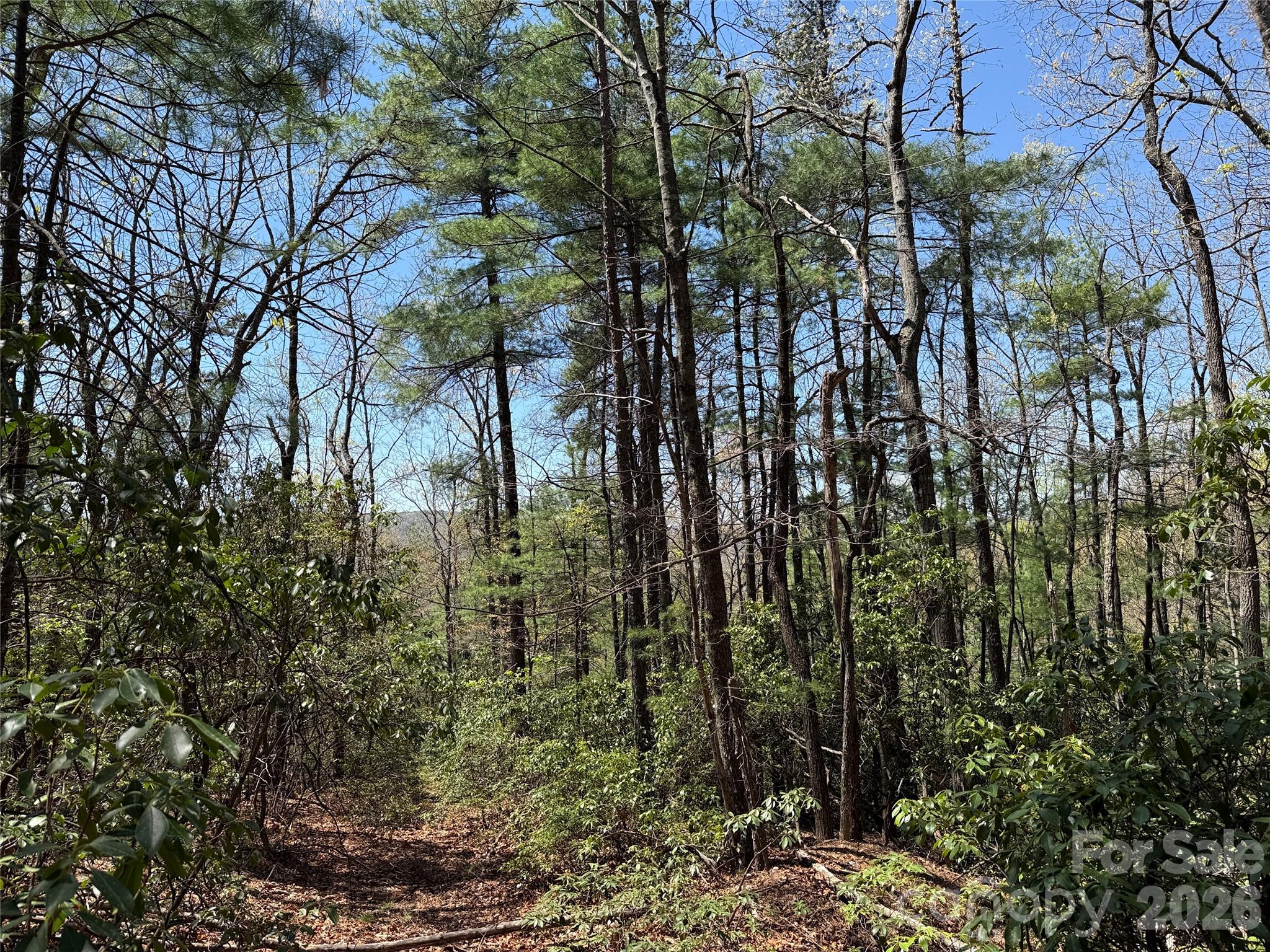 Tbd Casey Mountain Road 213 Property Photo 7