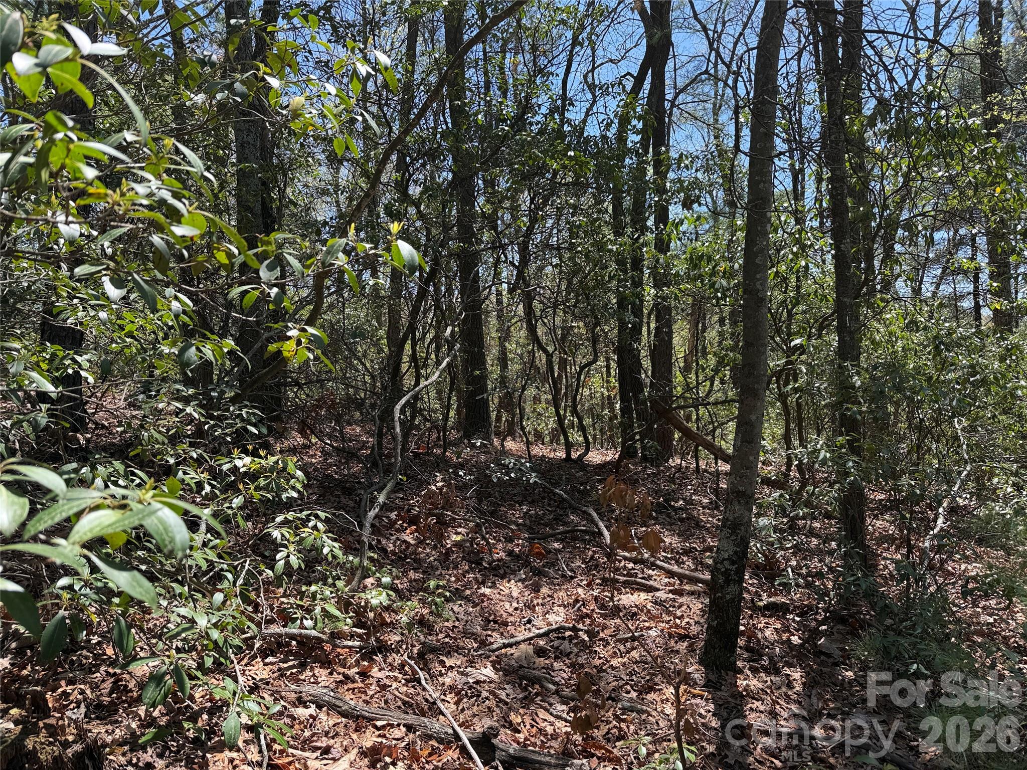 Tbd Casey Mountain Road 213 Property Photo 8