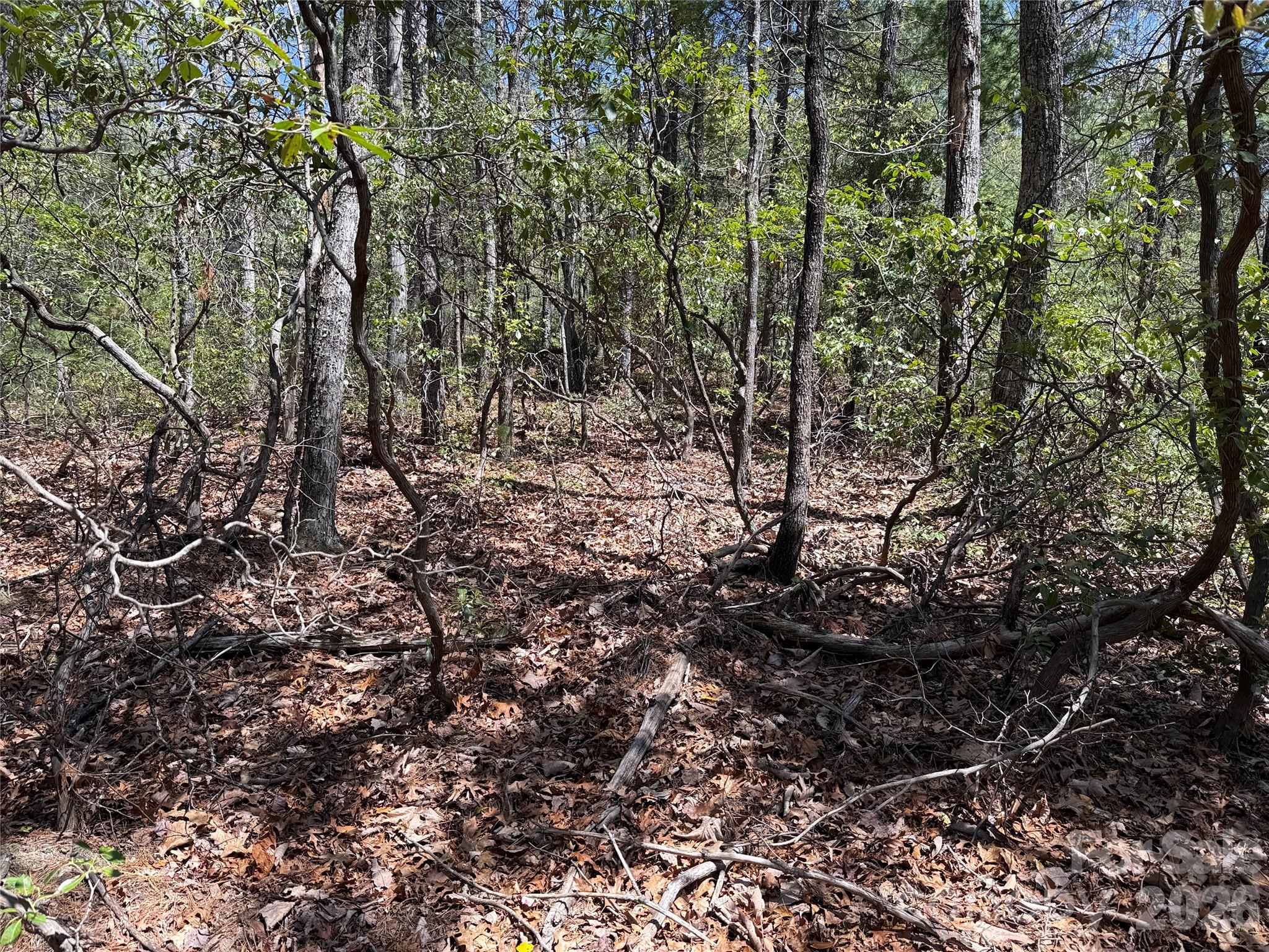 Tbd Casey Mountain Road 213 Property Photo 9