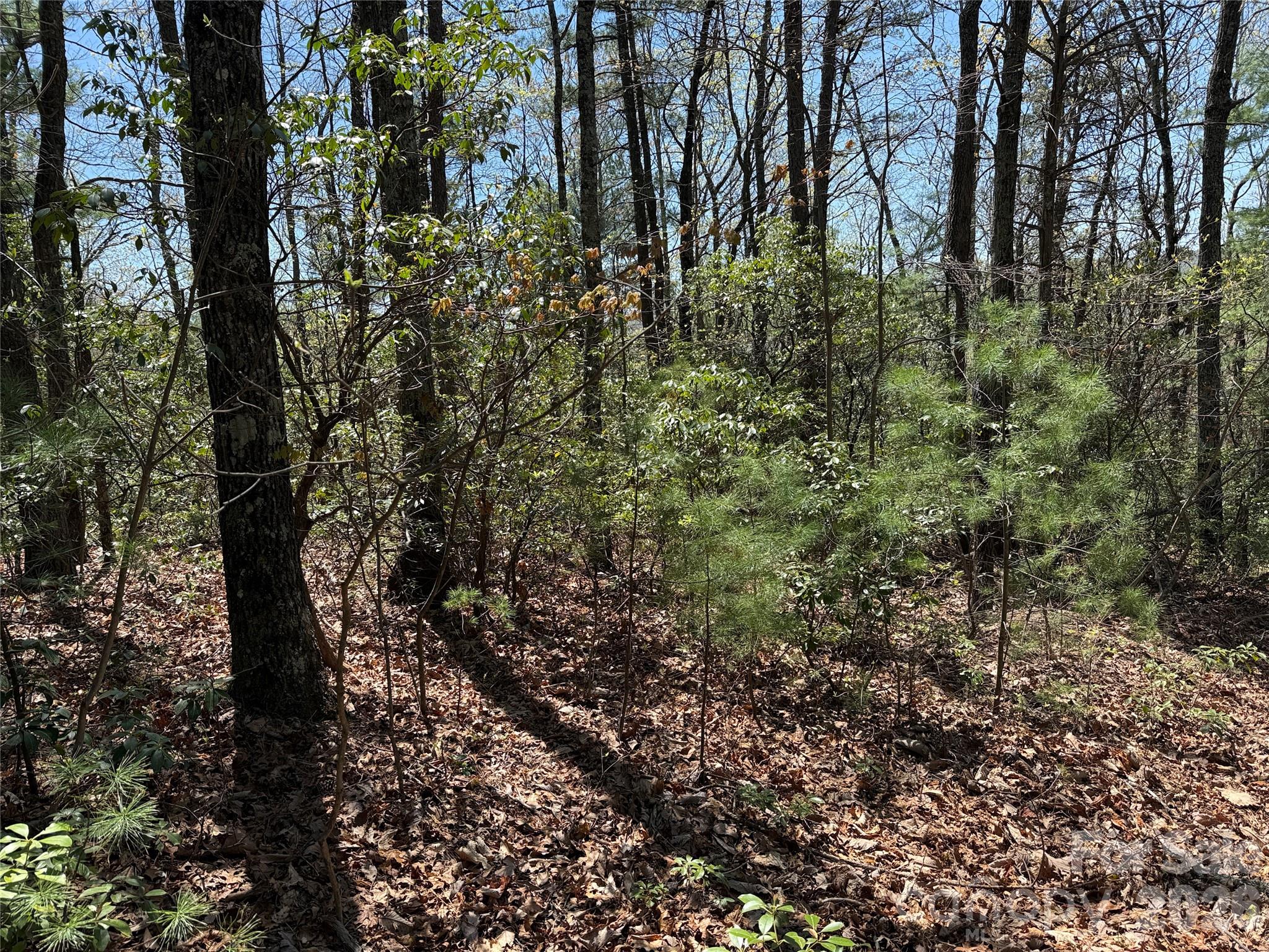 Tbd Casey Mountain Road 213 Property Photo 10