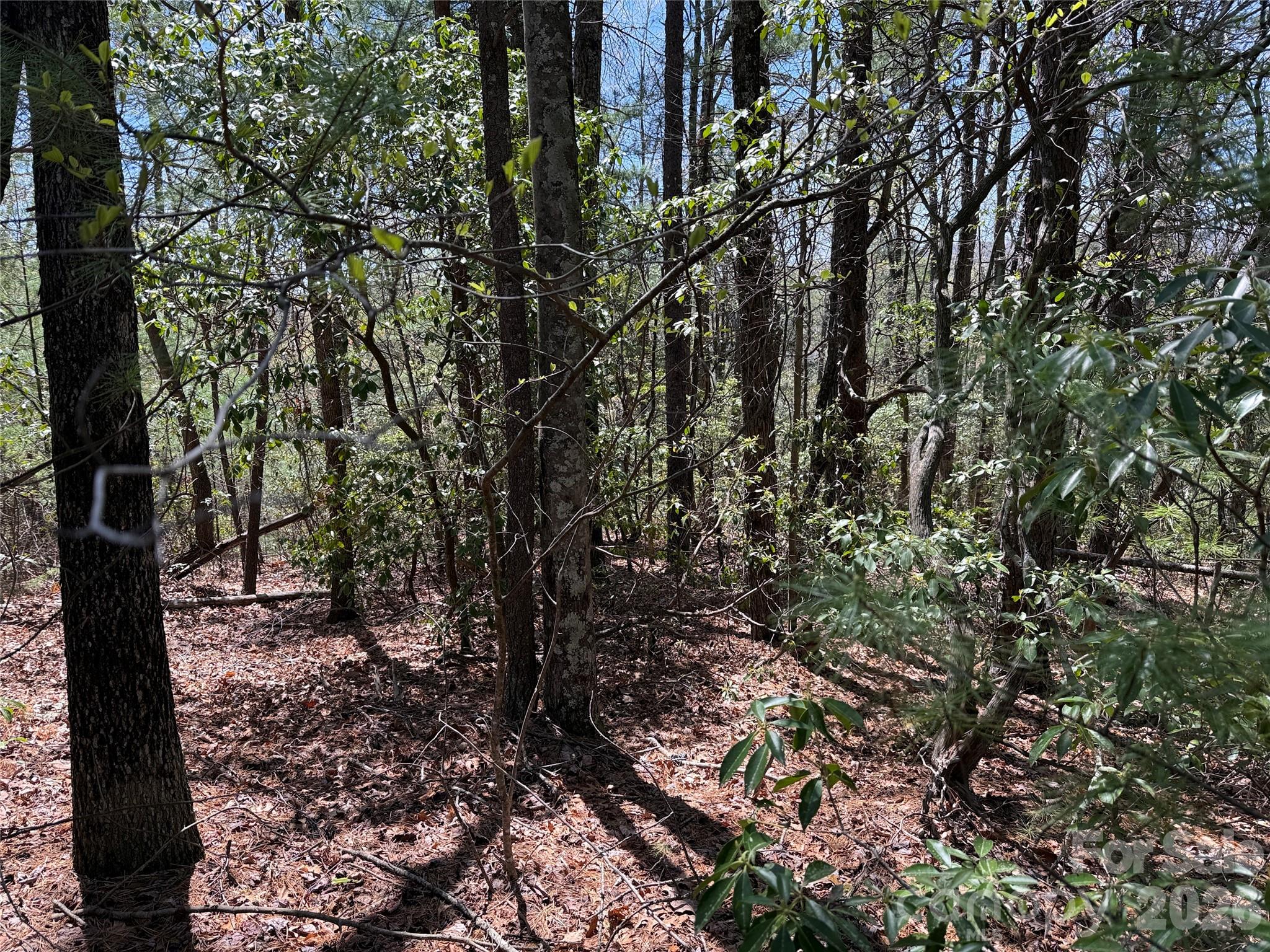 Tbd Casey Mountain Road 213 Property Photo 12