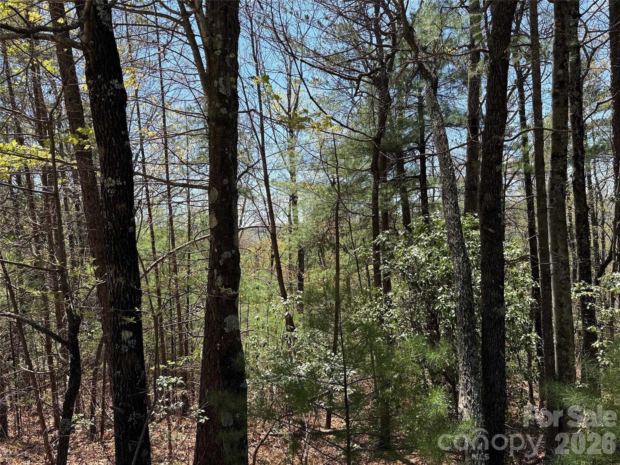 Tbd Casey Mountain Road 213 Property Photo 13
