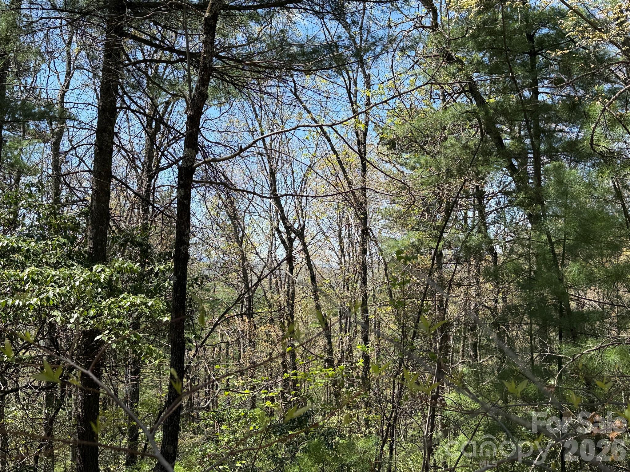 Tbd Casey Mountain Road 213 Property Photo 14