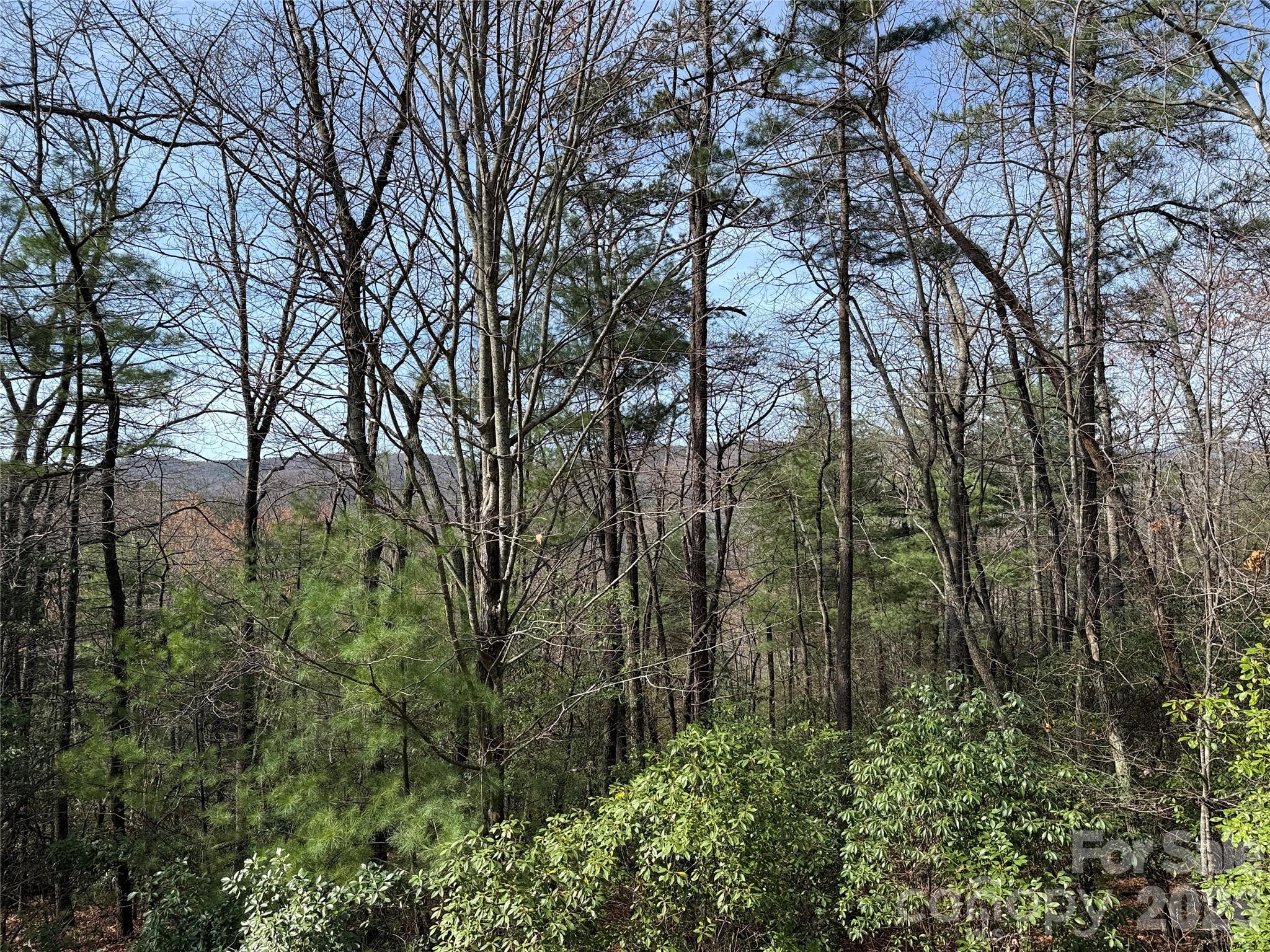 Tbd Casey Mountain Road 213 Property Photo 15