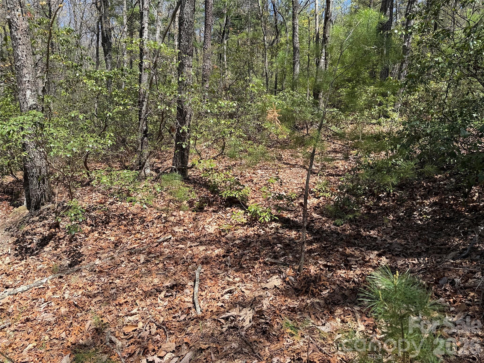 Tbd Casey Mountain Road 213 Property Photo 16