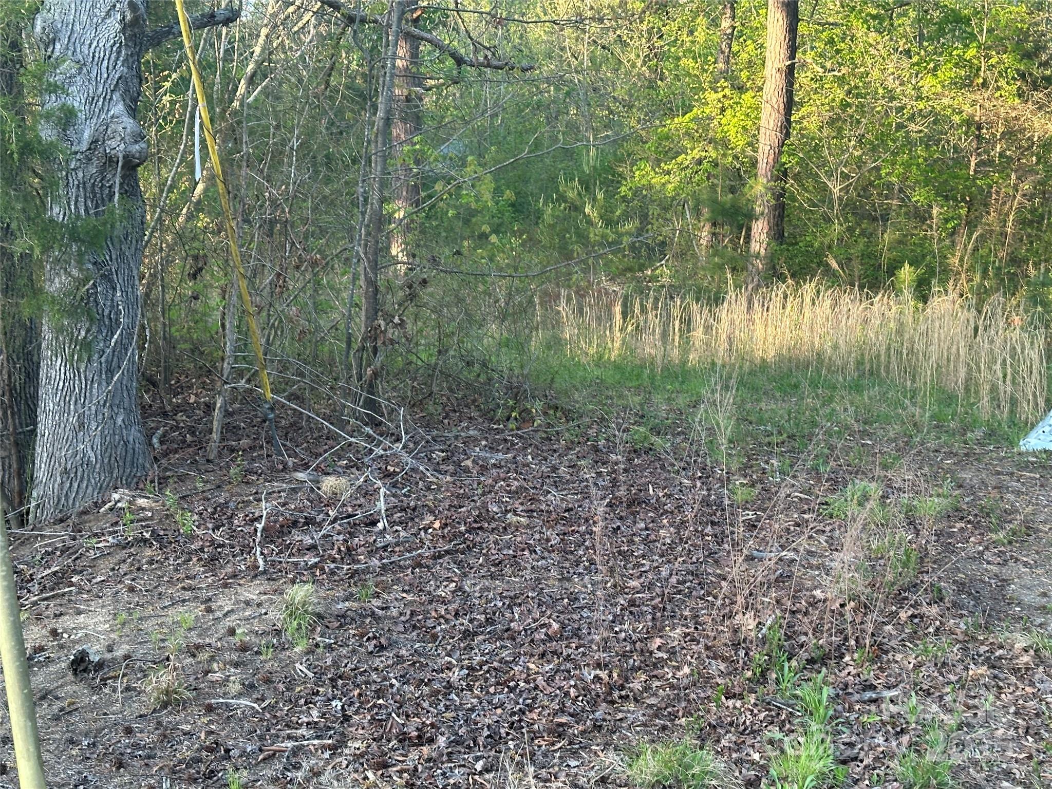 11155 Highway 52 Highway Property Photo 7