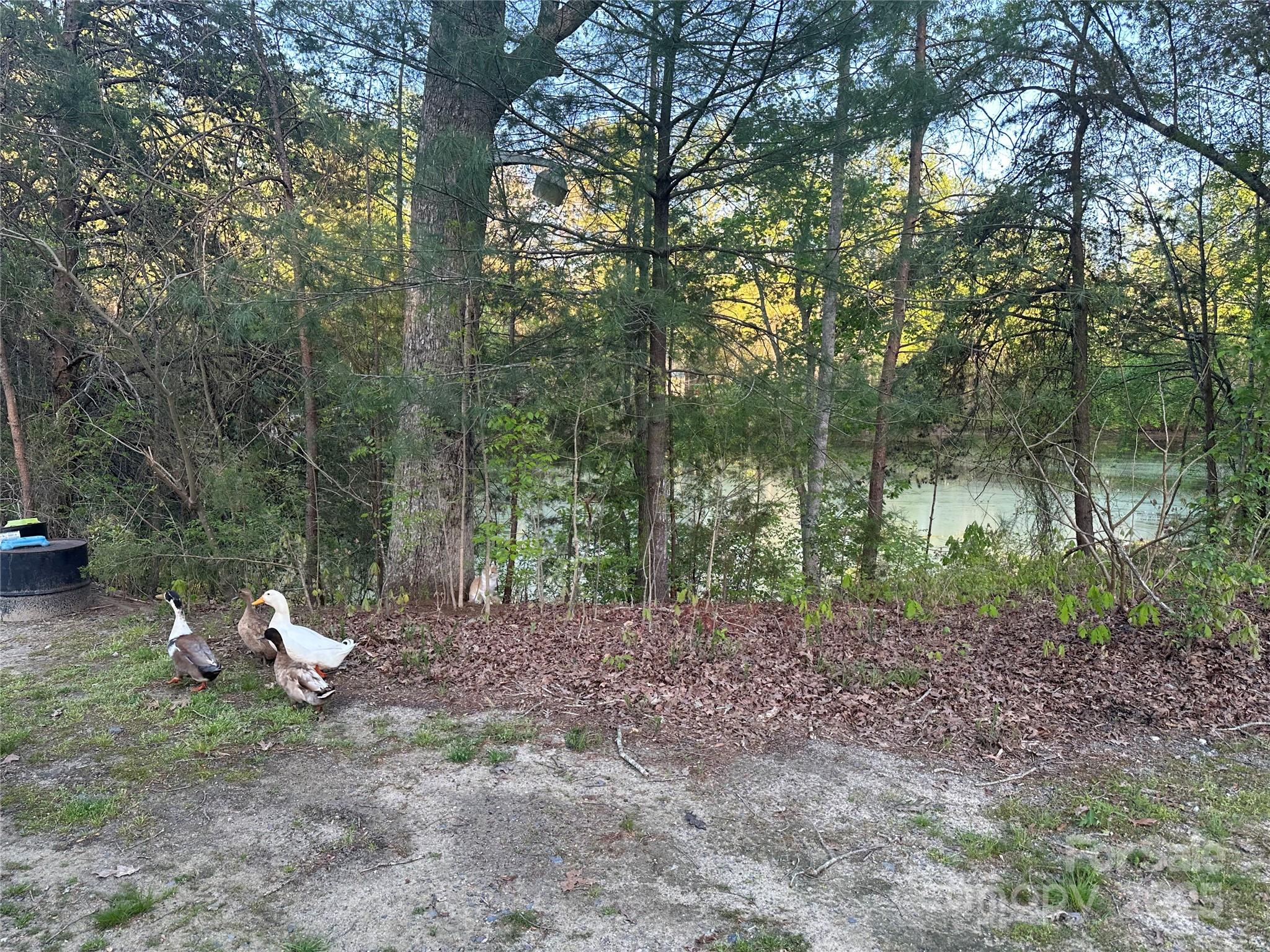 11155 Highway 52 Highway Property Photo 9