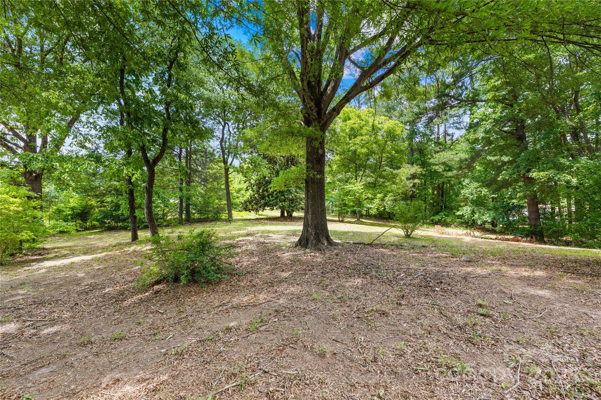 208 Lipe Road Property Photo 5