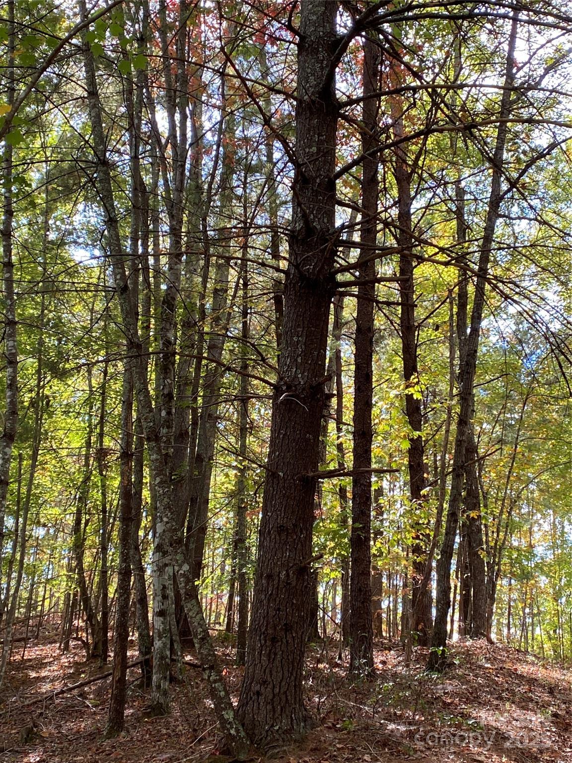 Lot 13 Highlands Drive Property Photo 5
