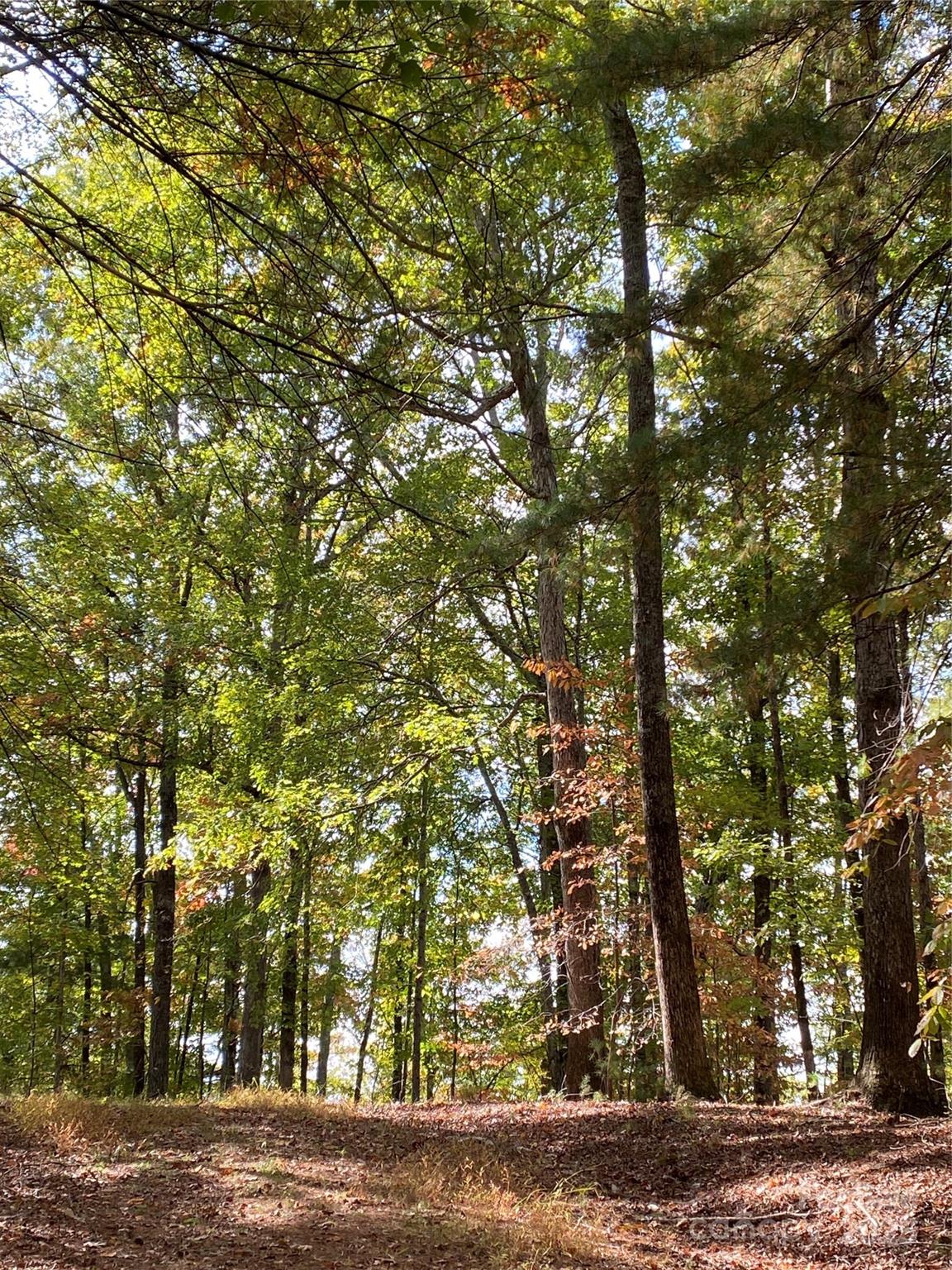 Lot 13 Highlands Drive Property Photo 6
