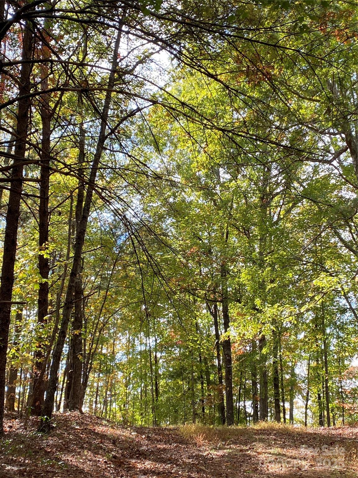 Lot 13 Highlands Drive Property Photo 9