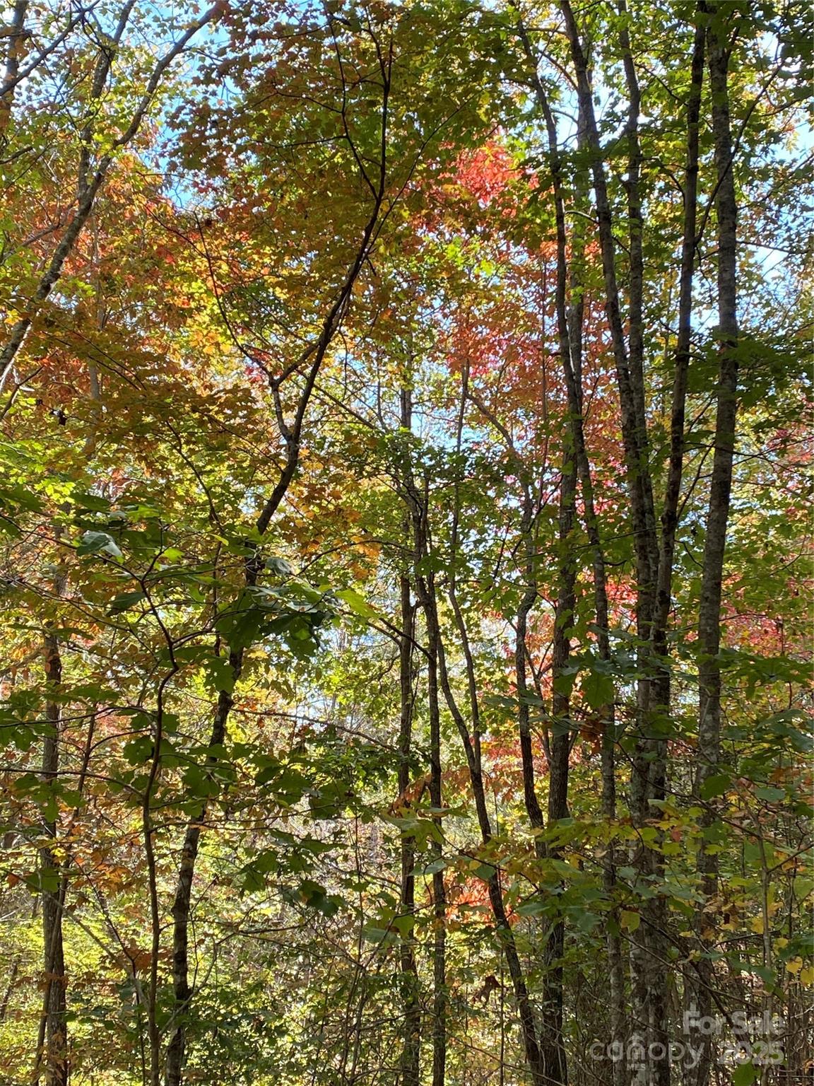 Lot 13 Highlands Drive Property Photo 10