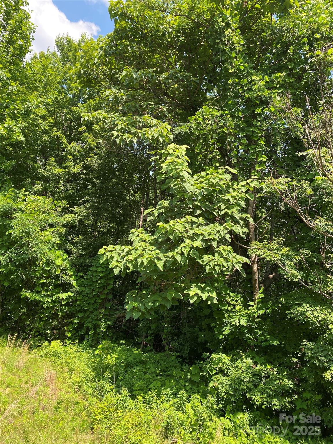 Lot 13 Highlands Drive Property Photo 15