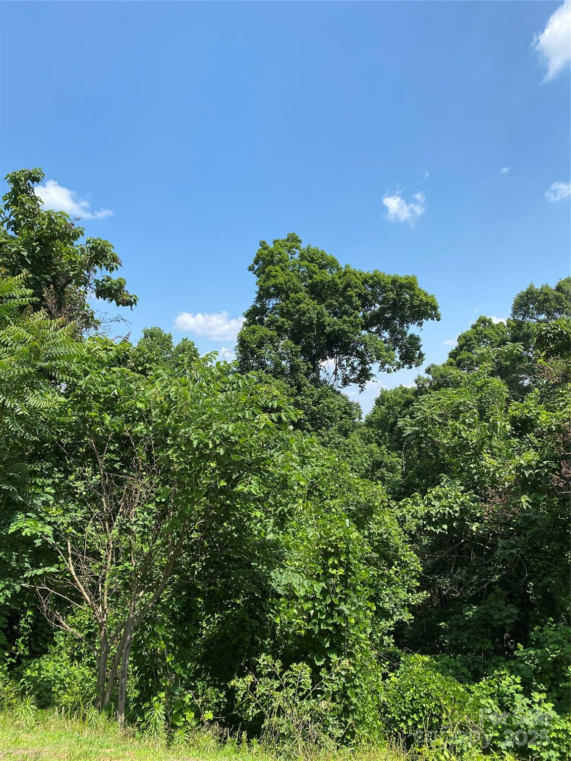 Lot 13 Highlands Drive Property Photo 17