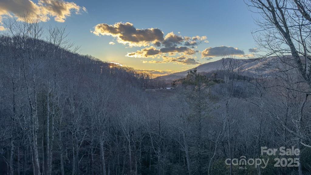 6 Lots Snow Ridge Road 35-40 Property Photo 1