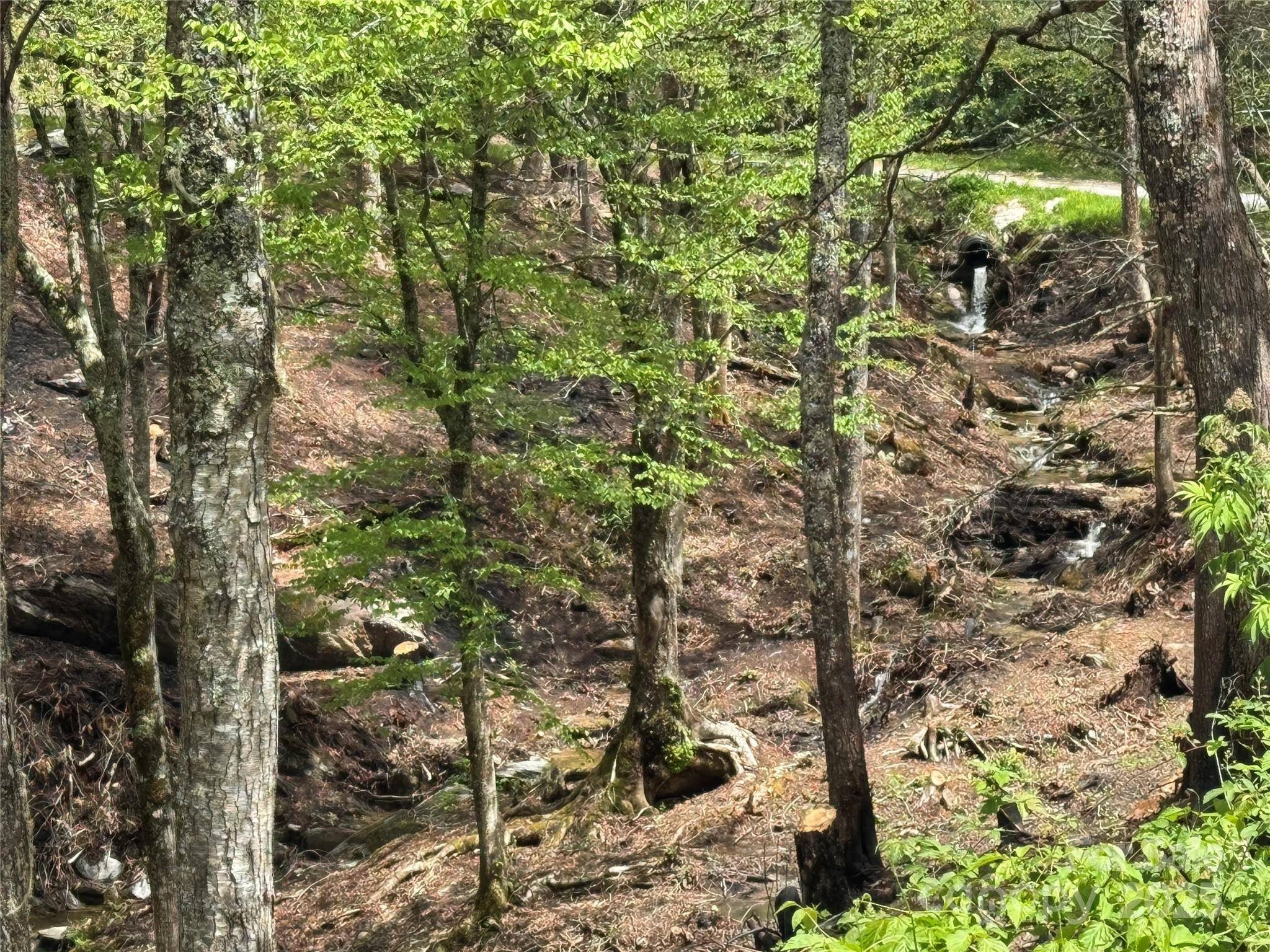 6 Lots Snow Ridge Road 35-40 Property Photo 3