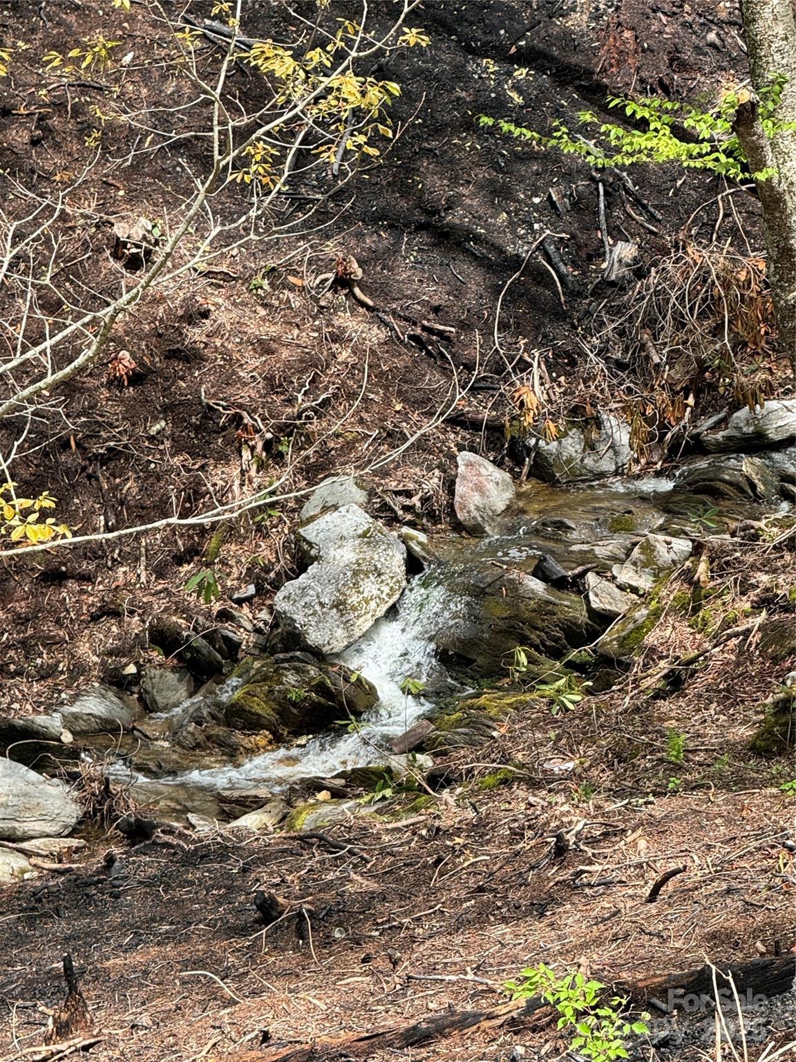 6 Lots Snow Ridge Road 35-40 Property Photo 4