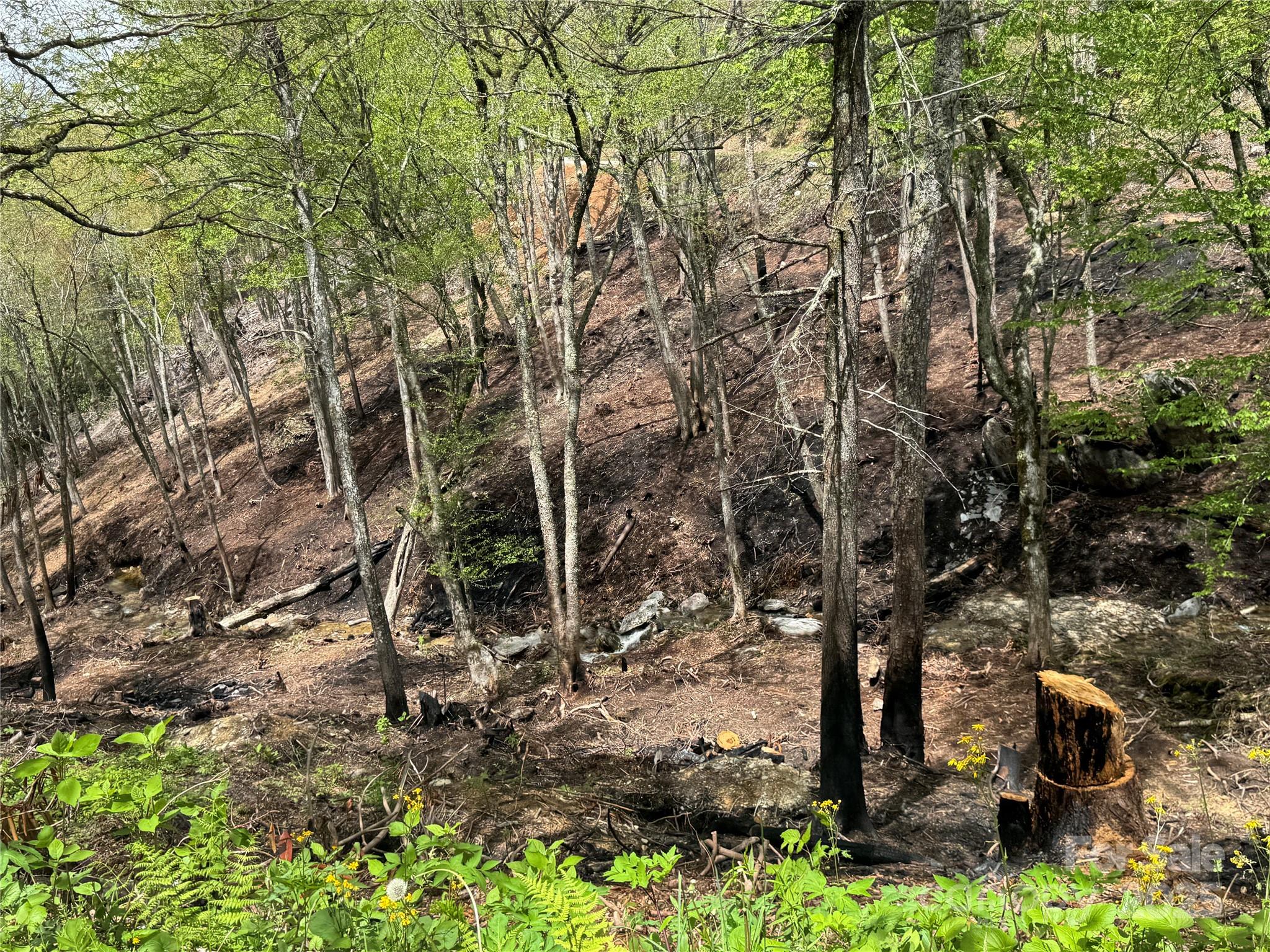 6 Lots Snow Ridge Road 35-40 Property Photo 5