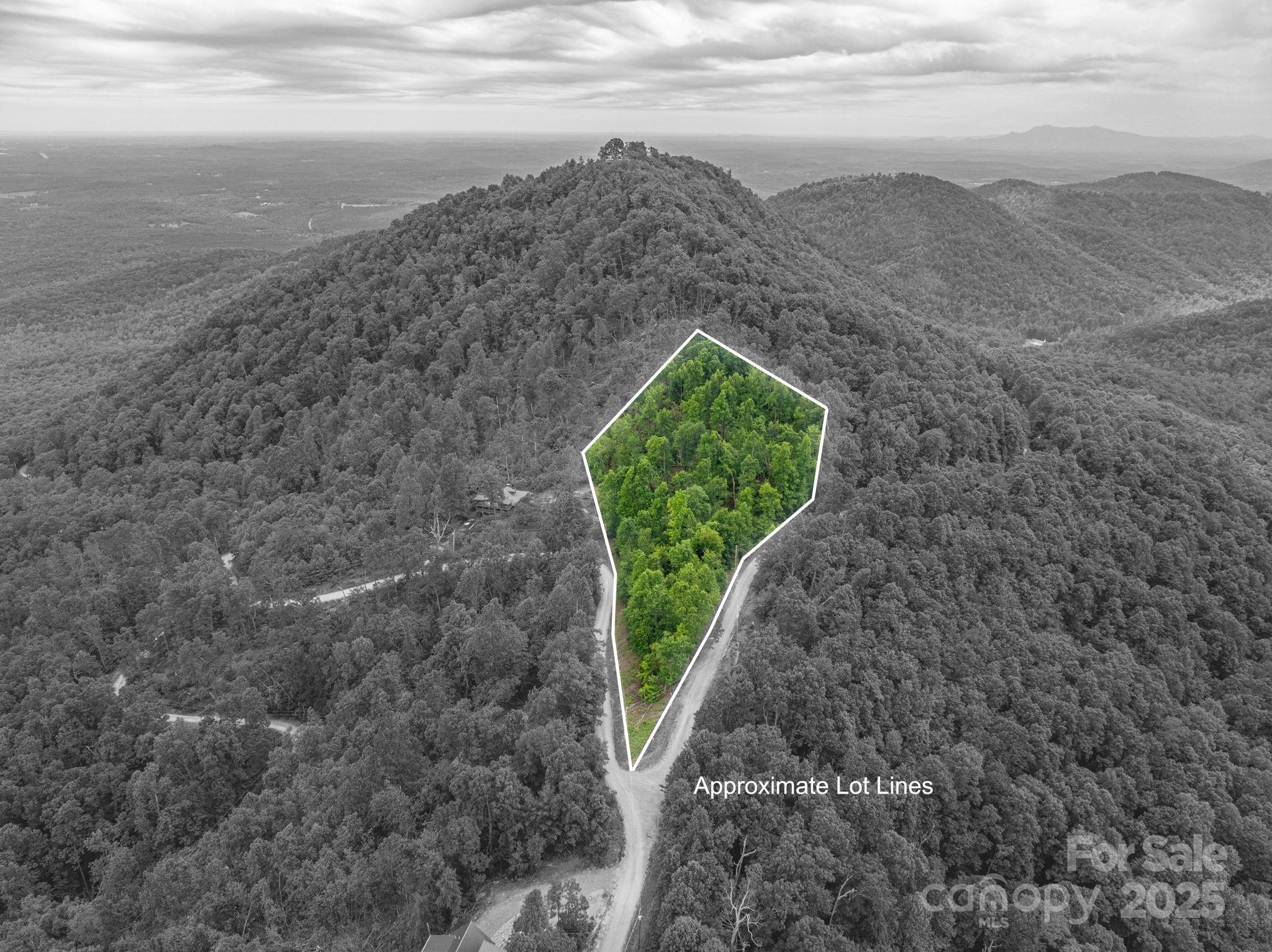 0 Pinnacle Parkway Property Photo 1