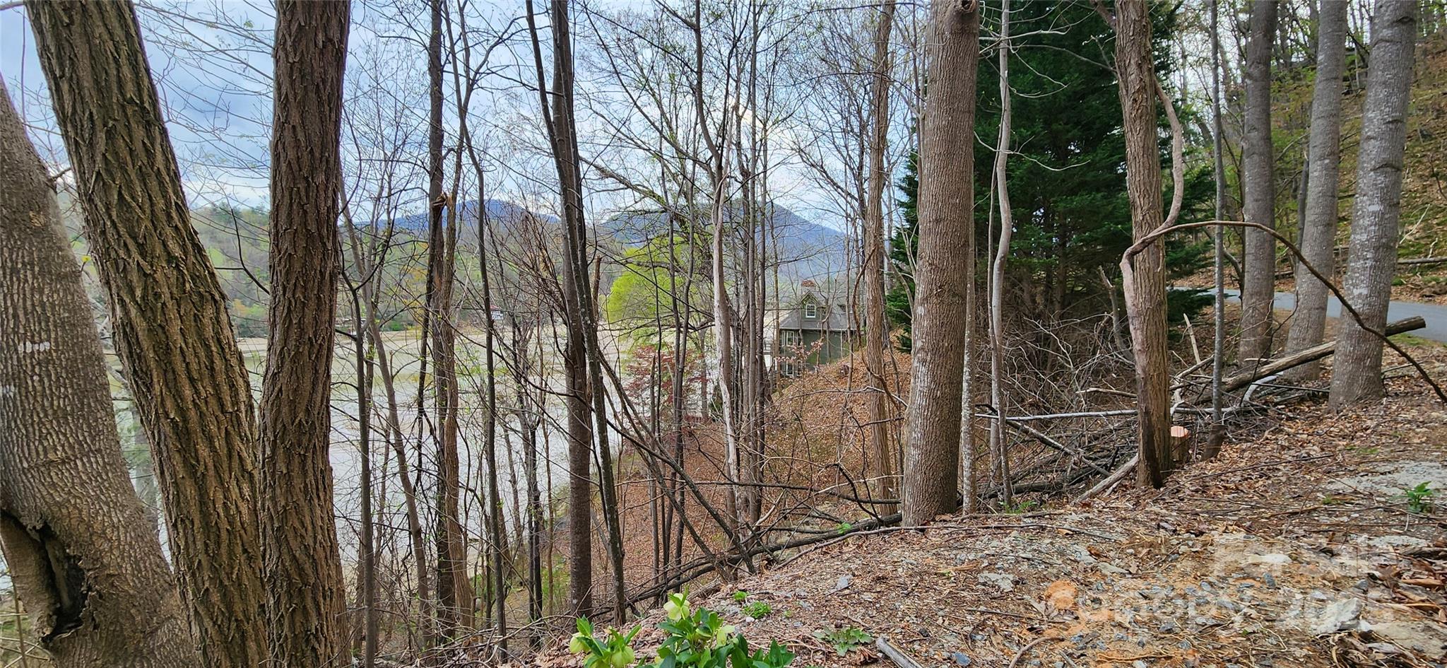 0 Chapel Point Road 14 Property Photo 36