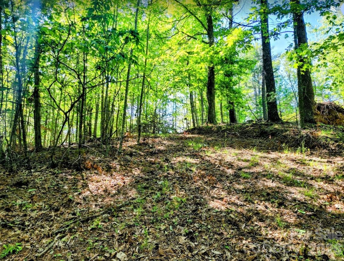 Tbd Lucky Leaf Lane Property Photo 2