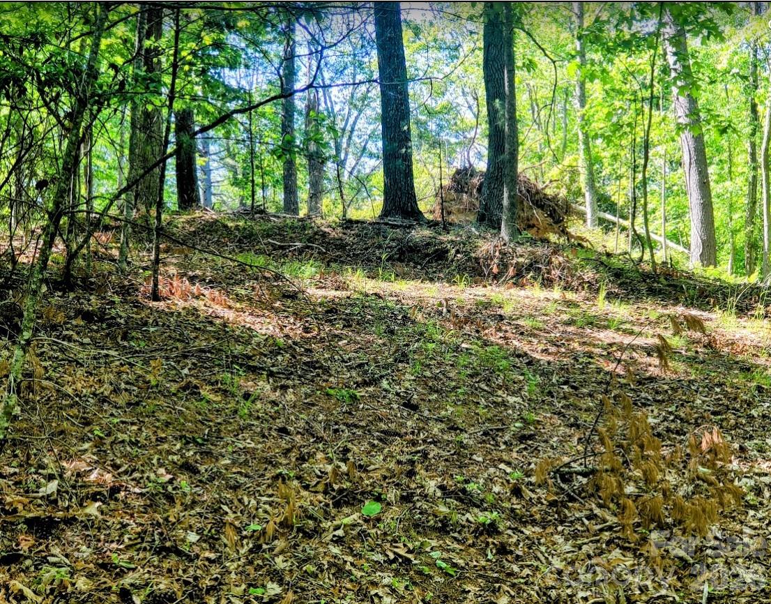 Tbd Lucky Leaf Lane Property Photo 6