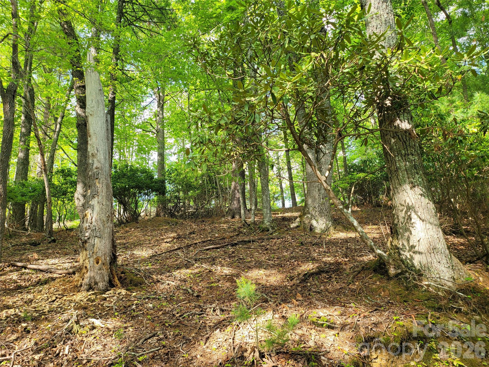 Tbd Lucky Leaf Lane Property Photo 7