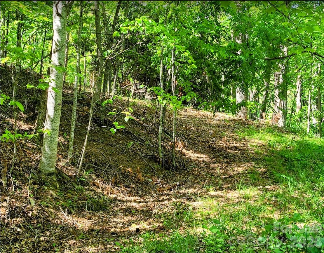 Tbd Lucky Leaf Lane Property Photo 8