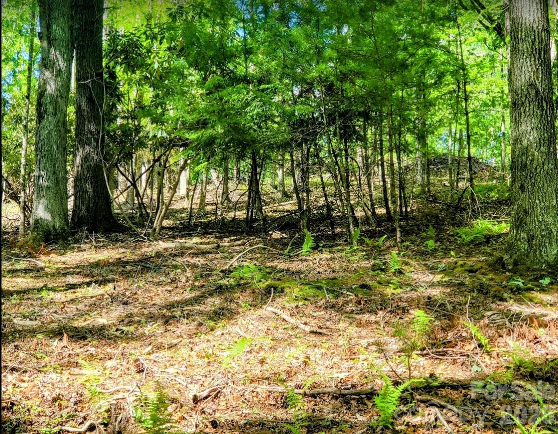 Tbd Lucky Leaf Lane Property Photo 10