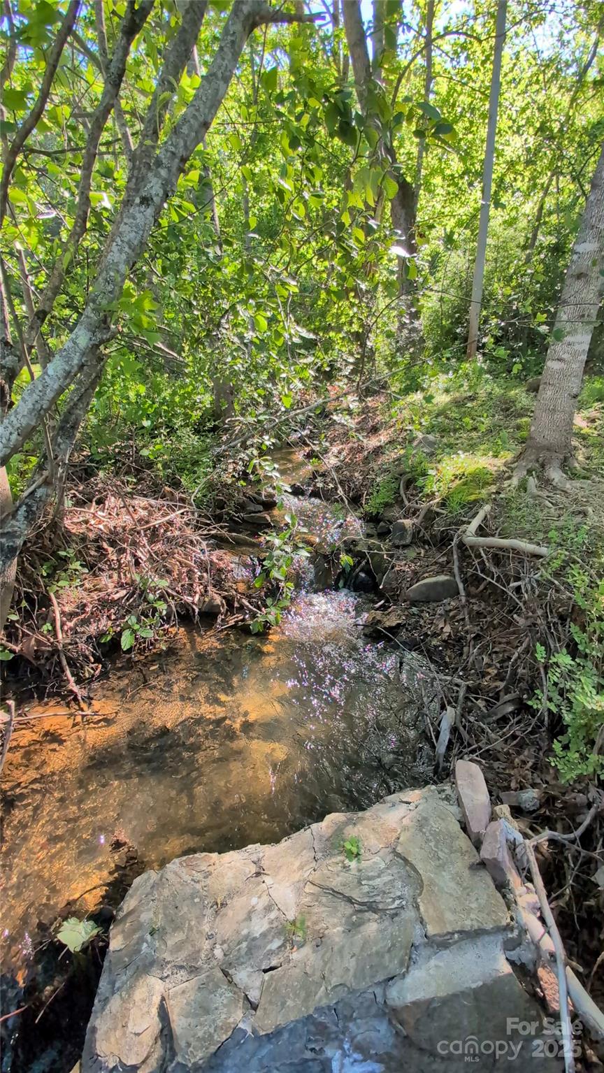 536 Hickory Springs Road Property Photo 8