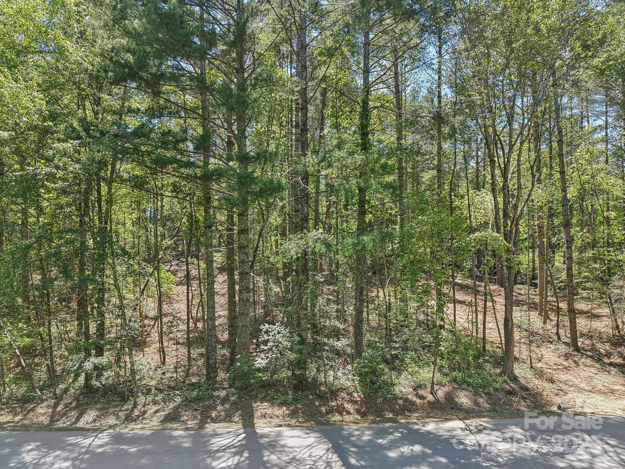 000 Ravenwood Drive 6 Property Photo 5