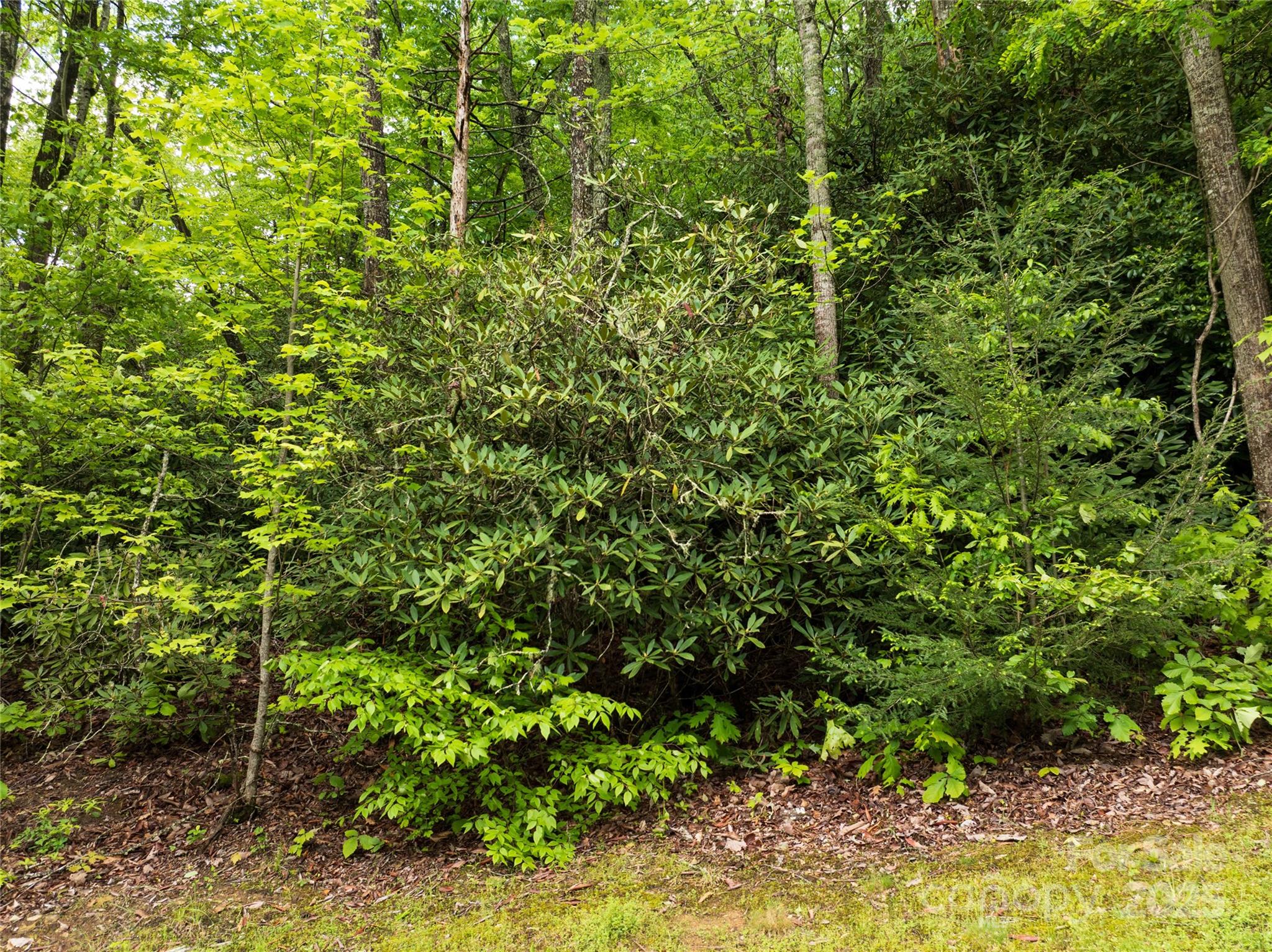 52 Settings Boulevard Property Photo 4