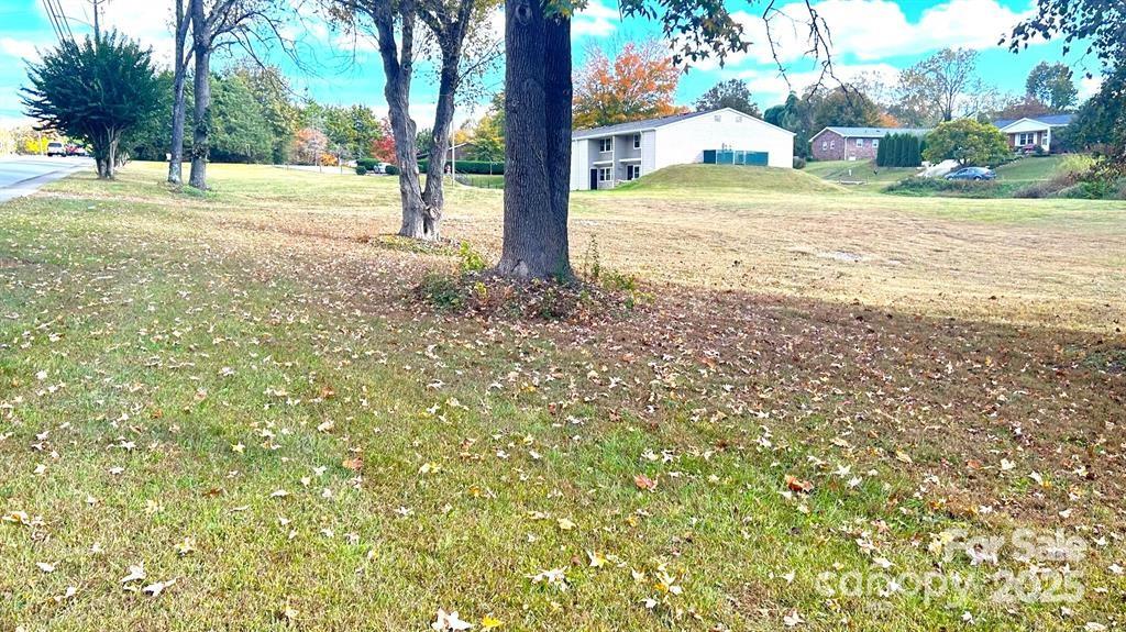 703 N Green Street Property Photo 4