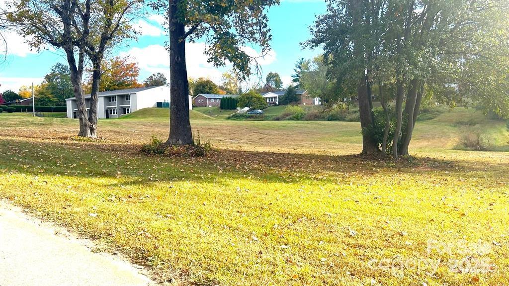 703 N Green Street Property Photo 5