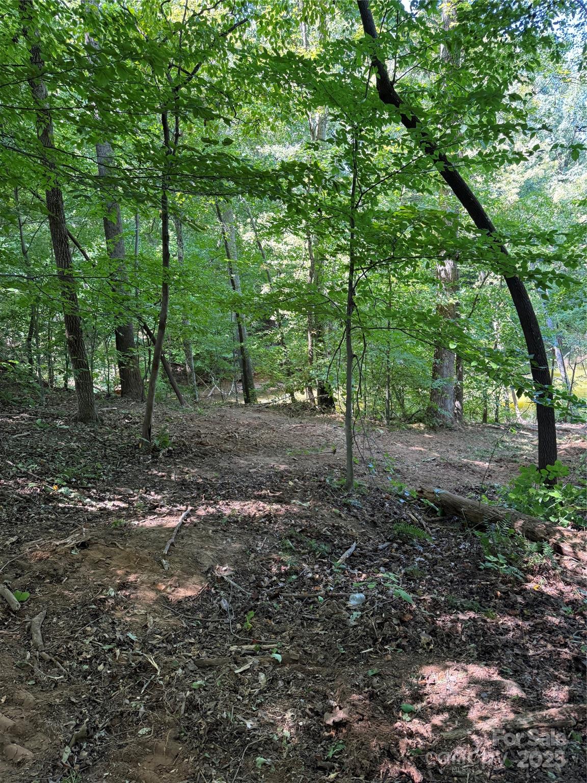 7116 Nancy Lee Circle Property Photo 13