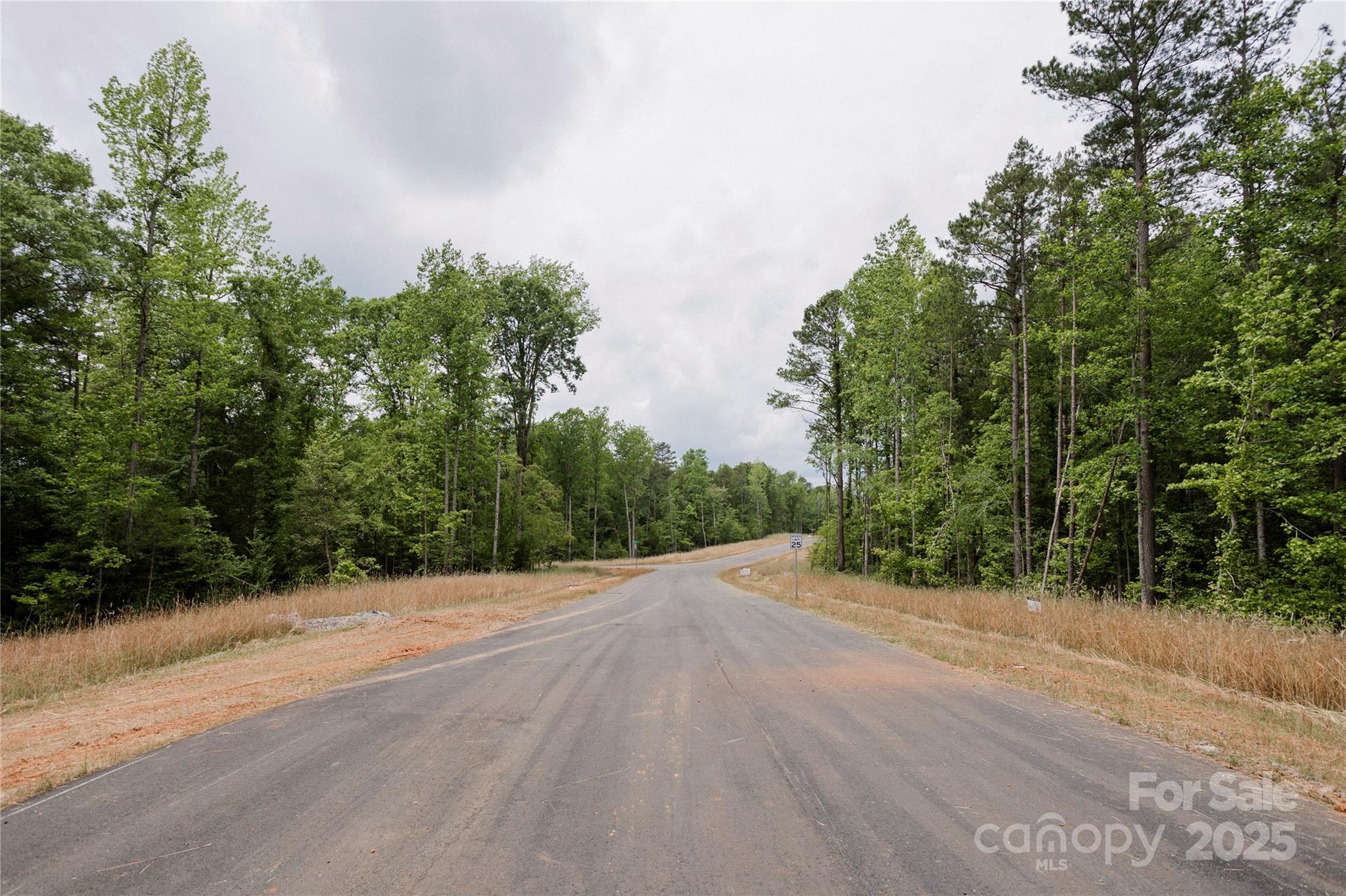 Lot 1 Great Blue Path Property Photo 4