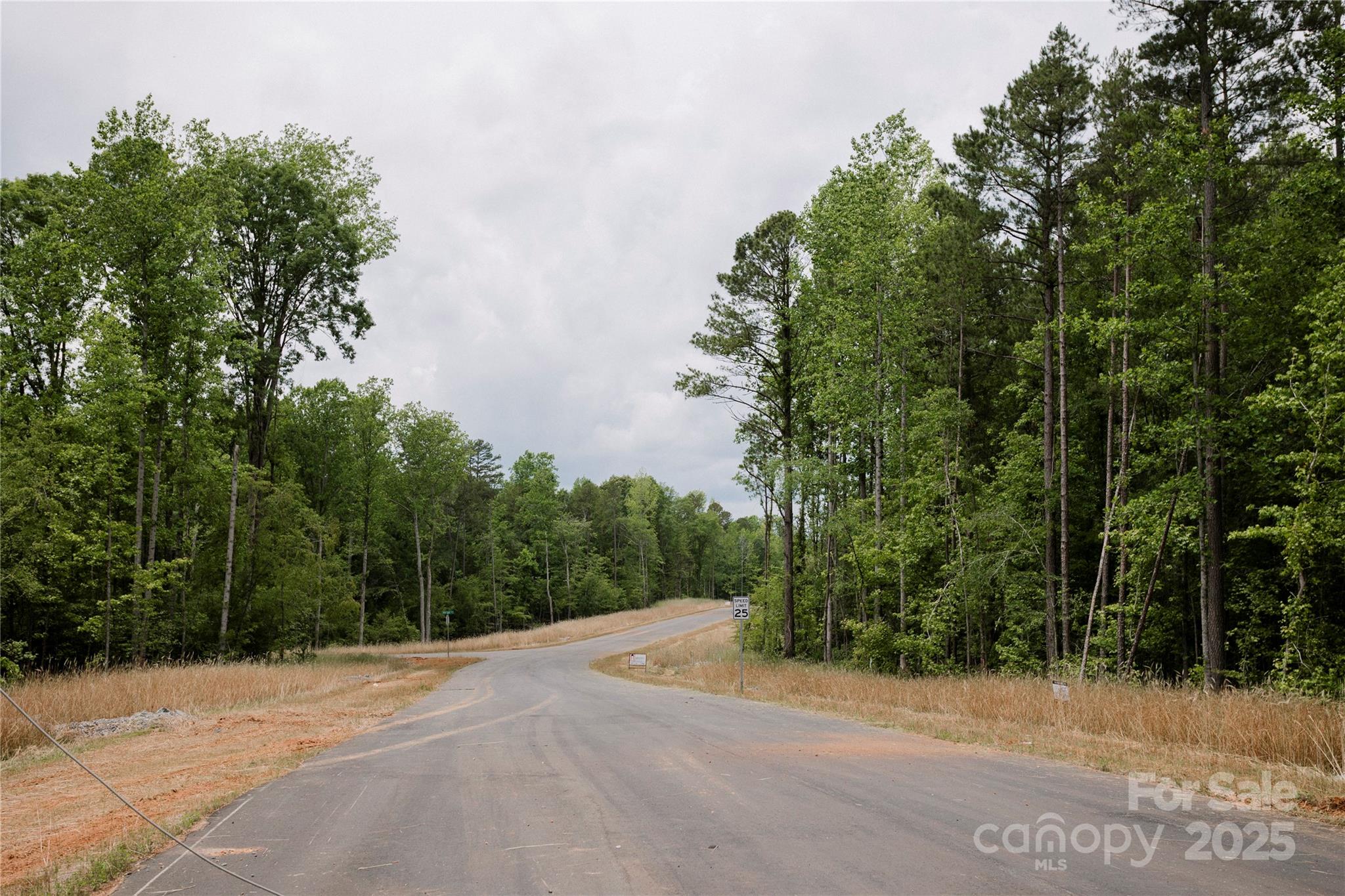 Lot 1 Great Blue Path Property Photo 5