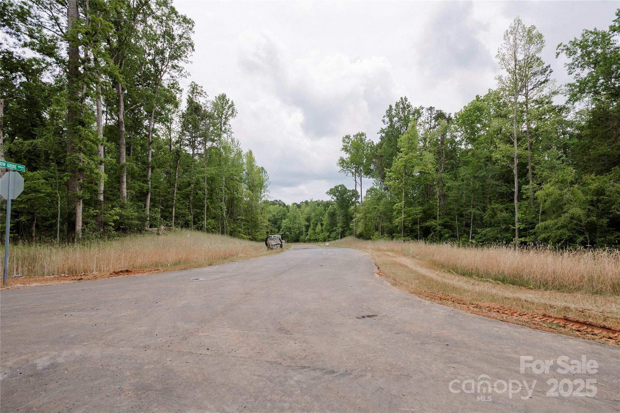 Lot 1 Great Blue Path Property Photo 15