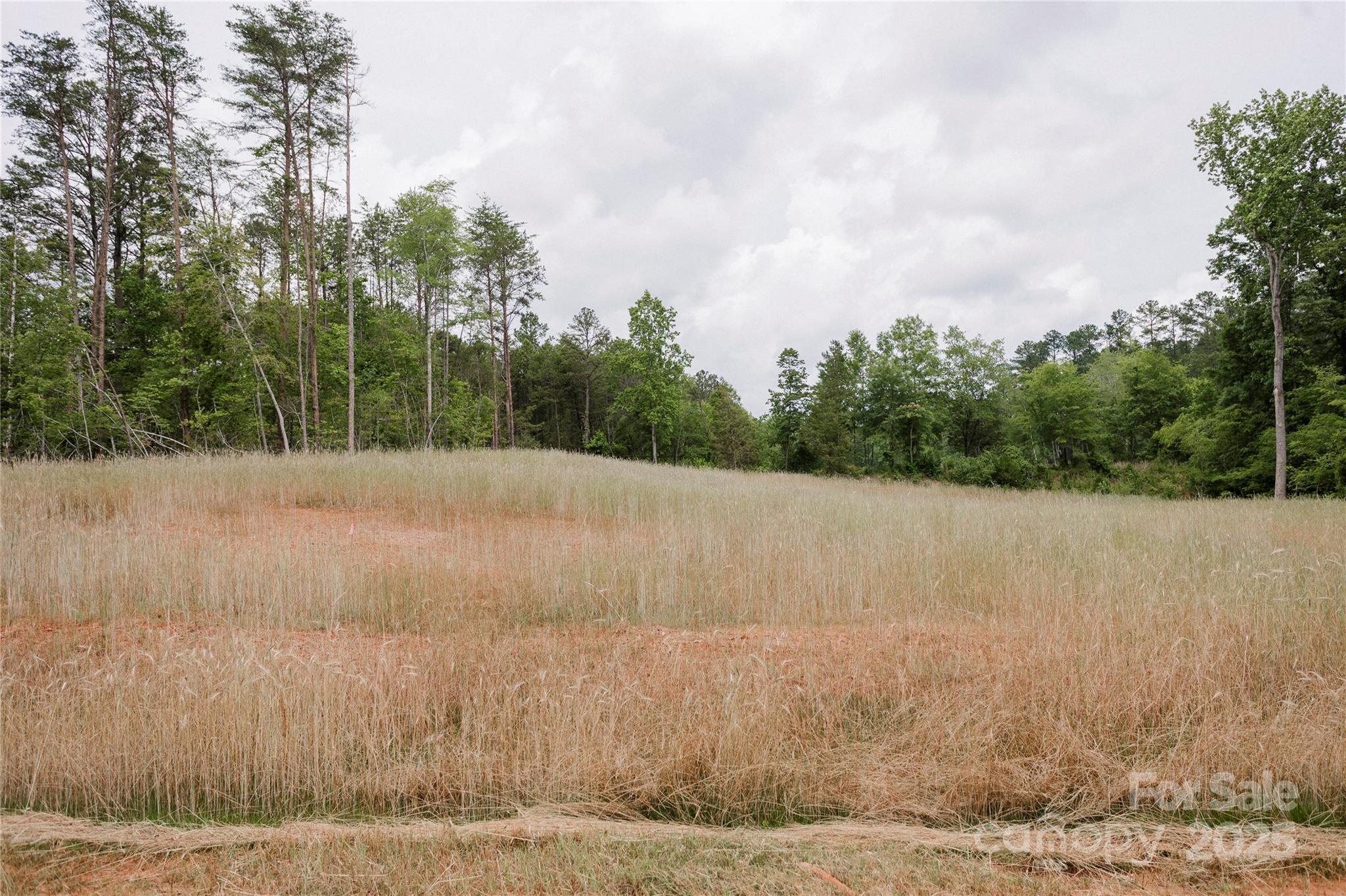 Lot 1 Great Blue Path Property Photo 16