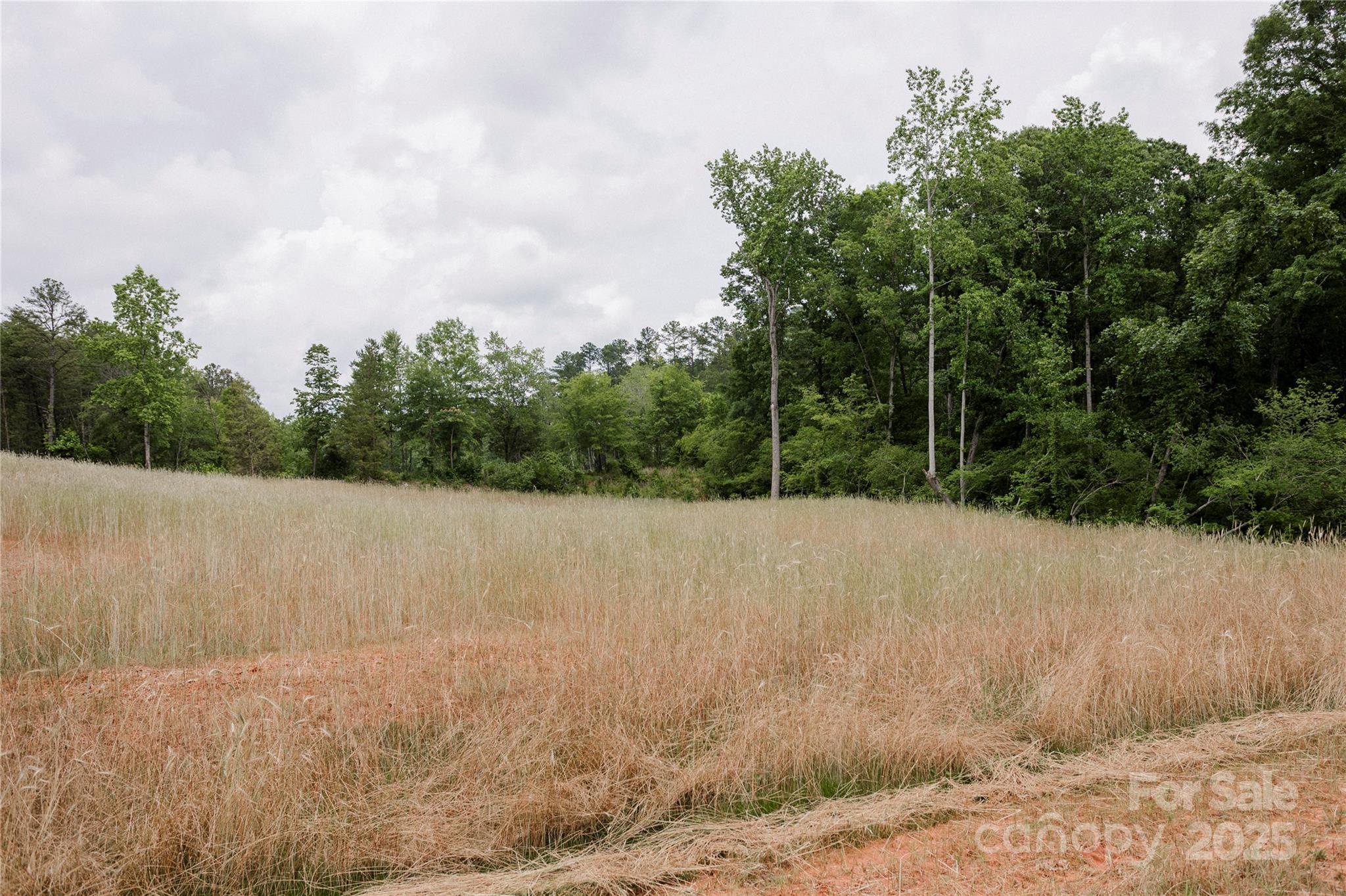 Lot 1 Great Blue Path Property Photo 17