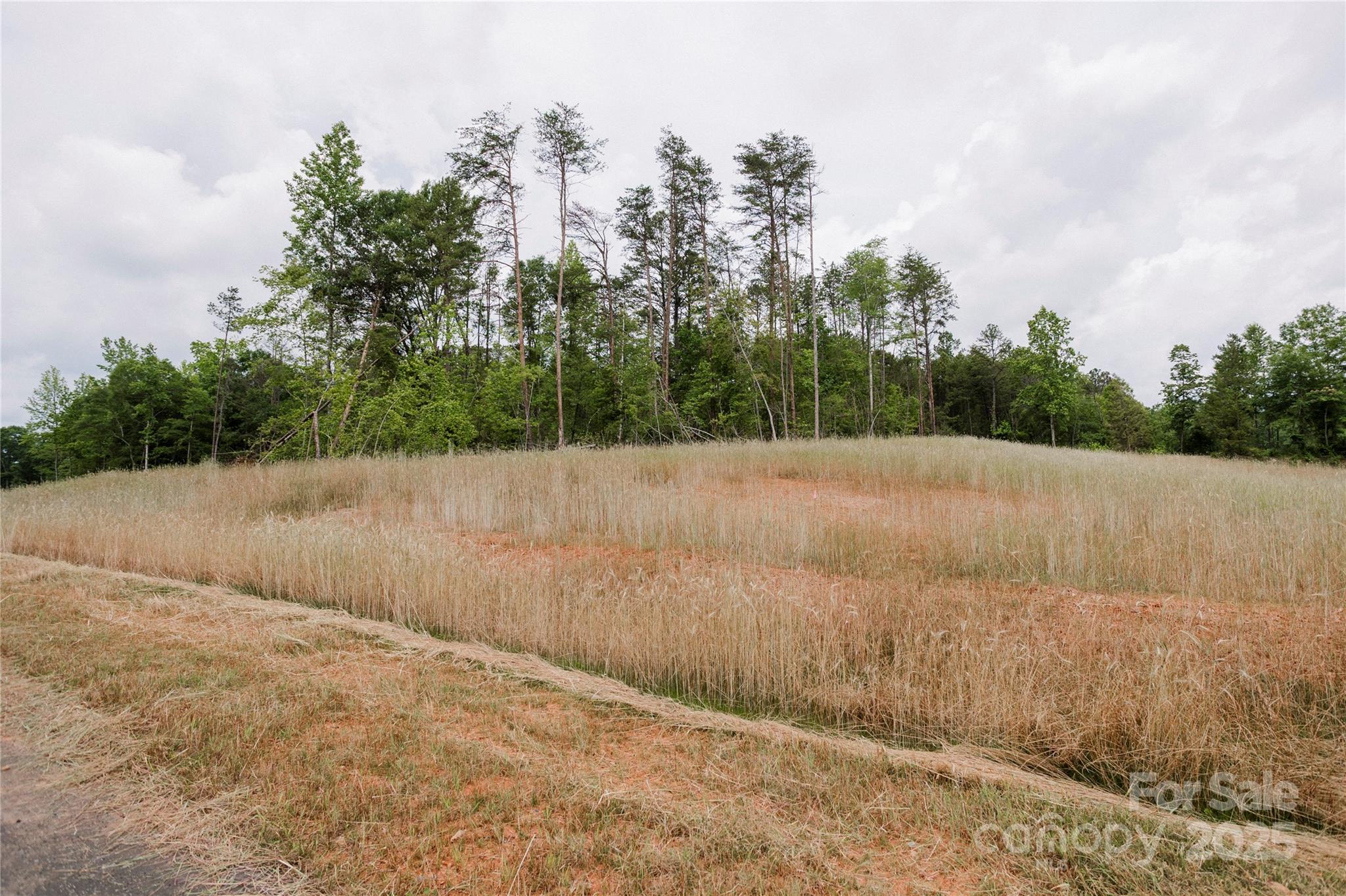 Lot 1 Great Blue Path Property Photo 18