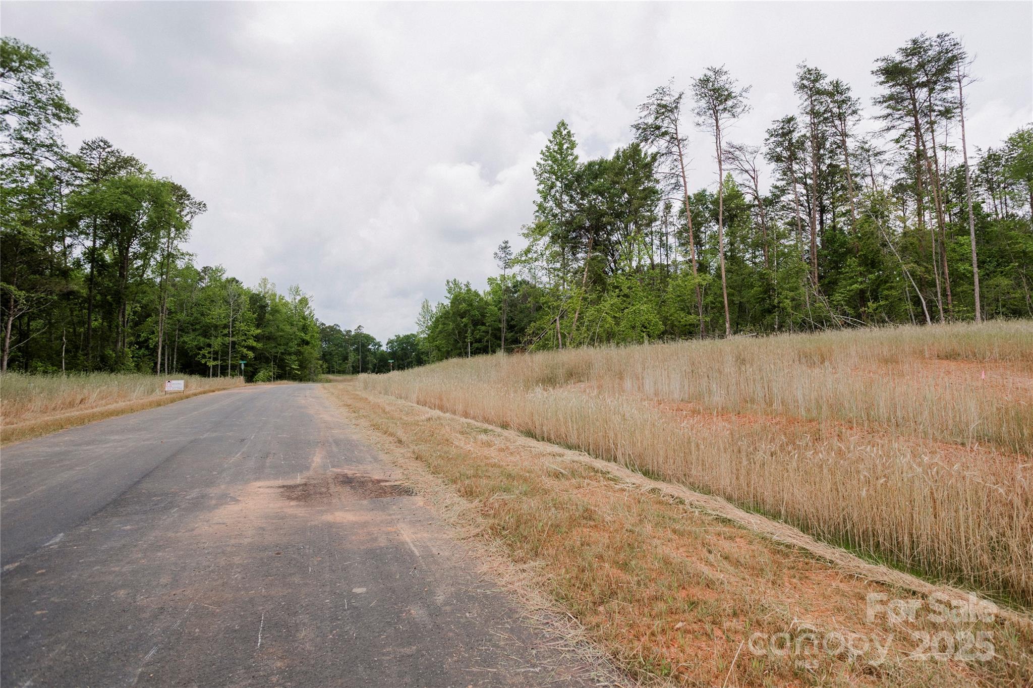 Lot 1 Great Blue Path Property Photo 19