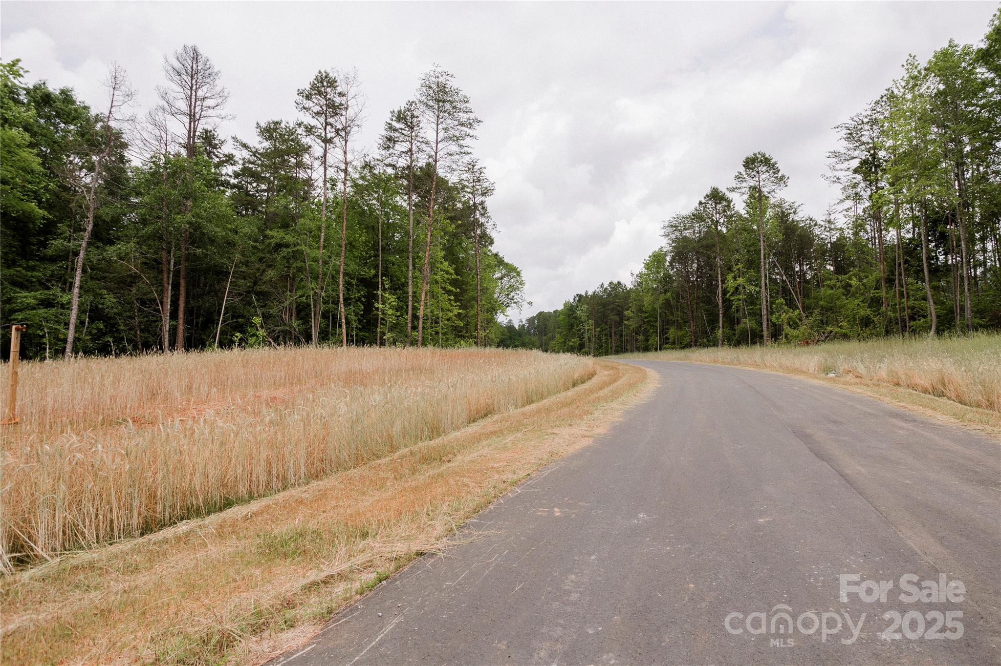 Lot 1 Great Blue Path Property Photo 21