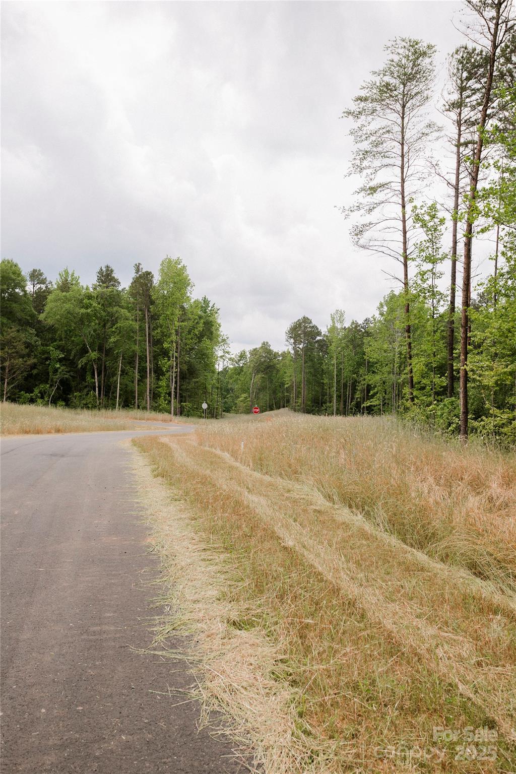 Lot 1 Great Blue Path Property Photo 24