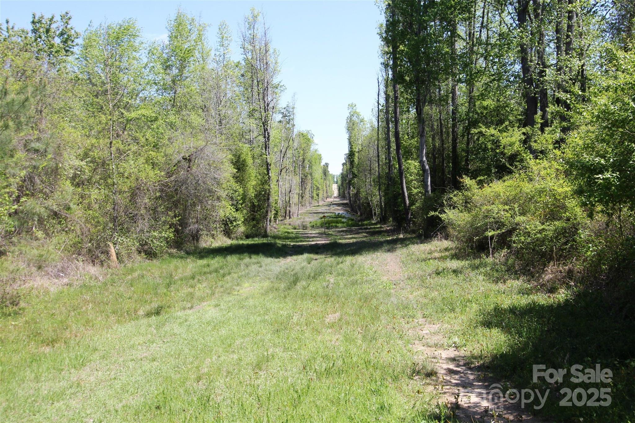 Tbd Queens Cove Way Property Photo 13