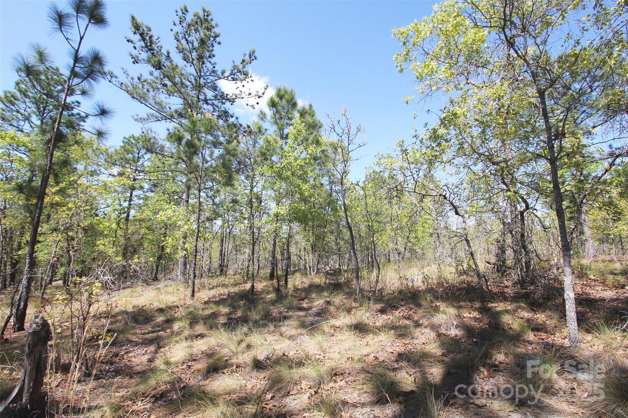 Tbd Queens Cove Way Property Photo 17