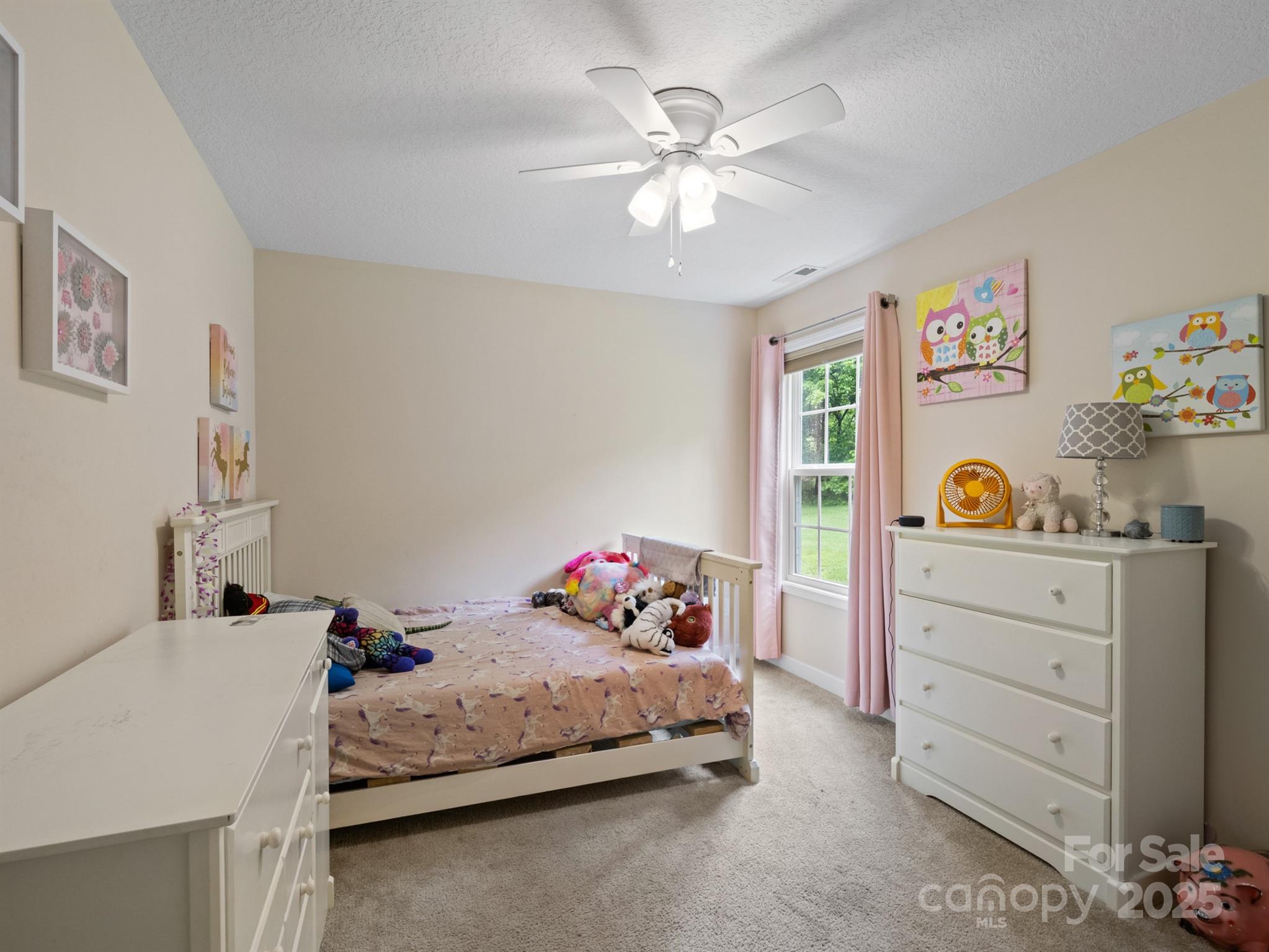 5369 Concord Road Property Photo 18